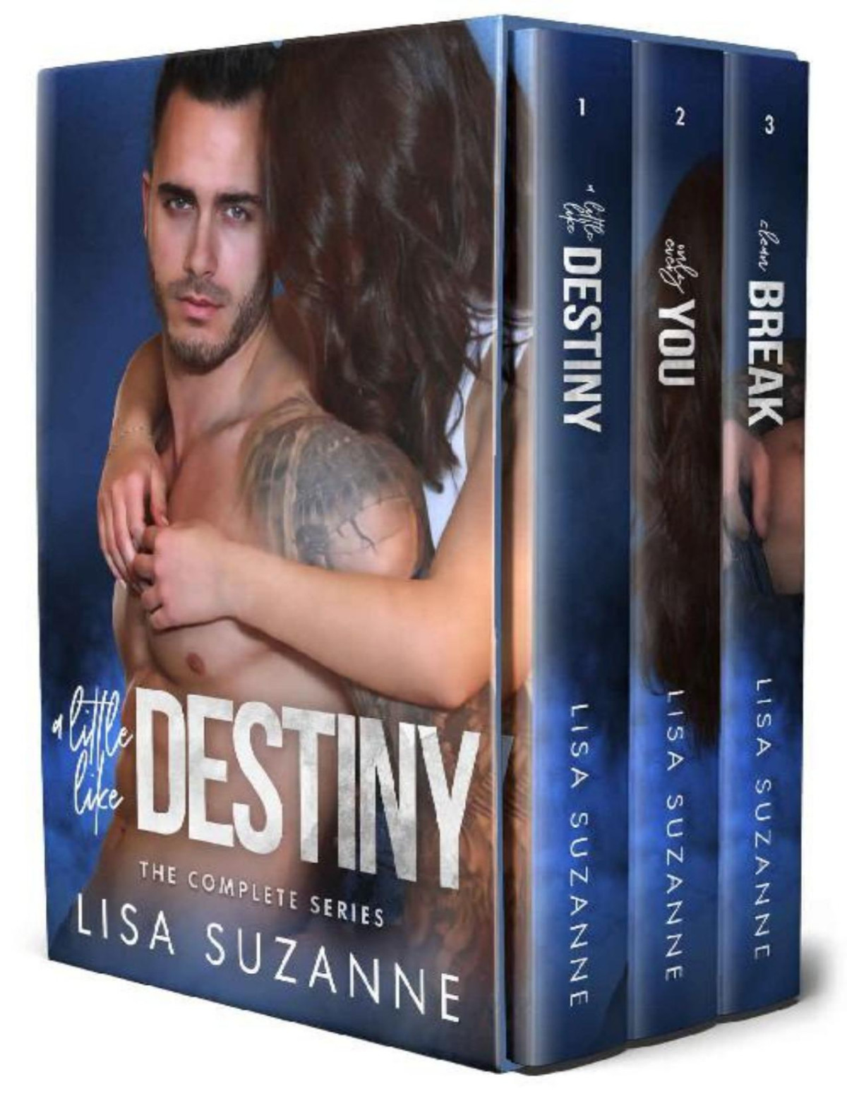 A Little Like Destiny The Complete Series Lisa Suzanne