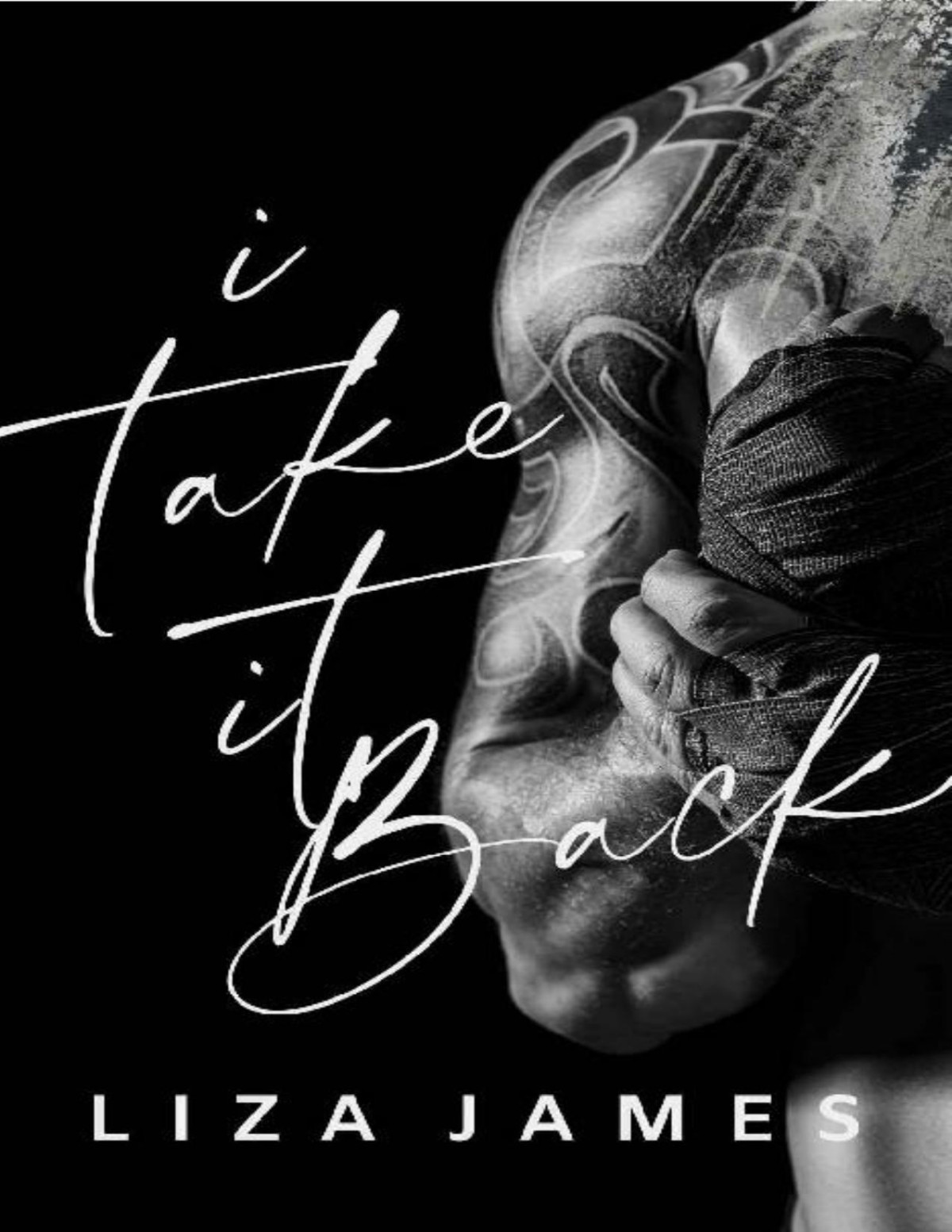 I Take It Back Fight For You Series Book 1 Liza James