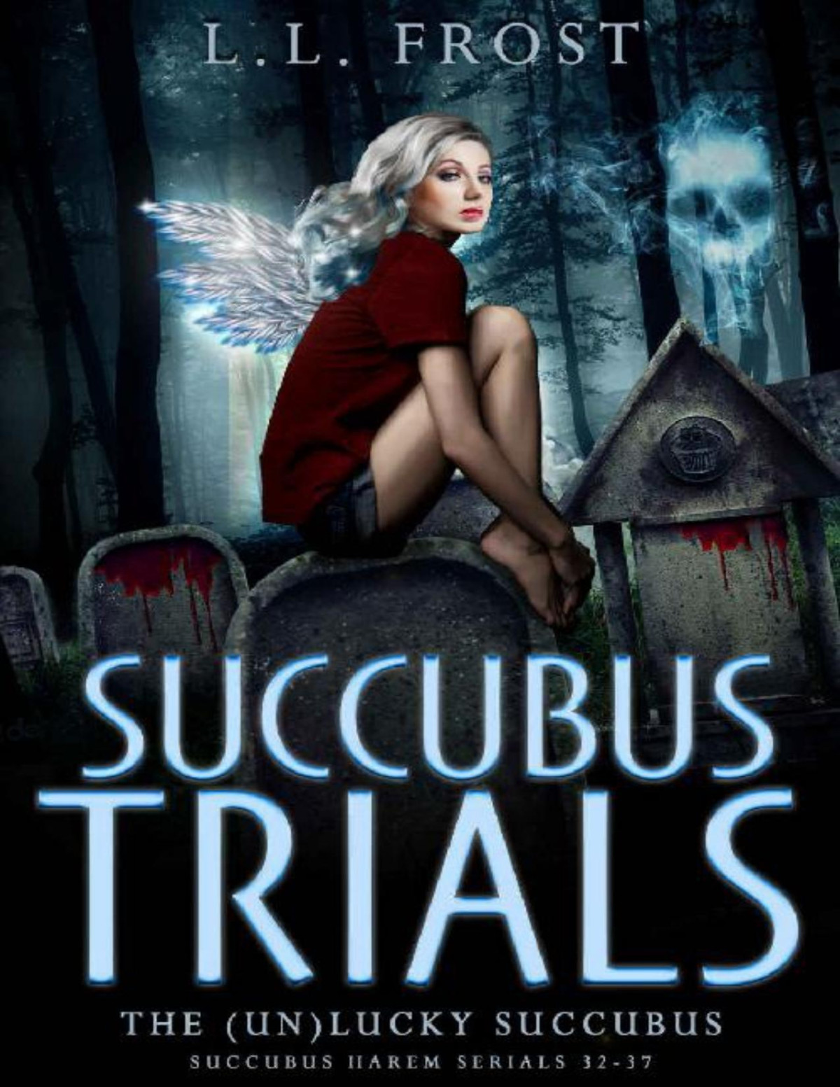 Succubus Trials The Unlucky Succubus Book 6 Ll Frost