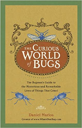The Curious World Of Bugs Daniel Marlos
