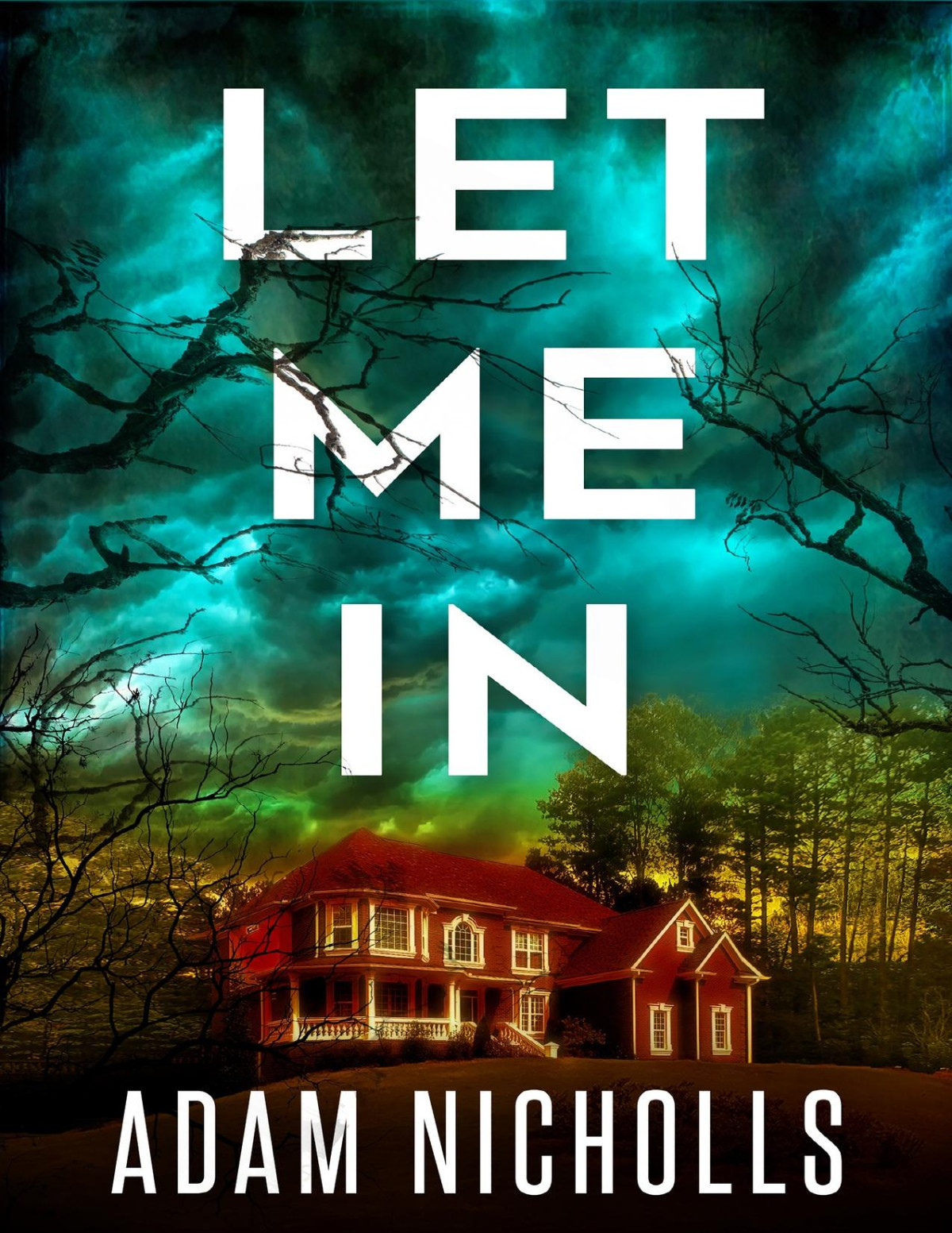 Let Me In Morgan Young Book 1 Nicholls Adam