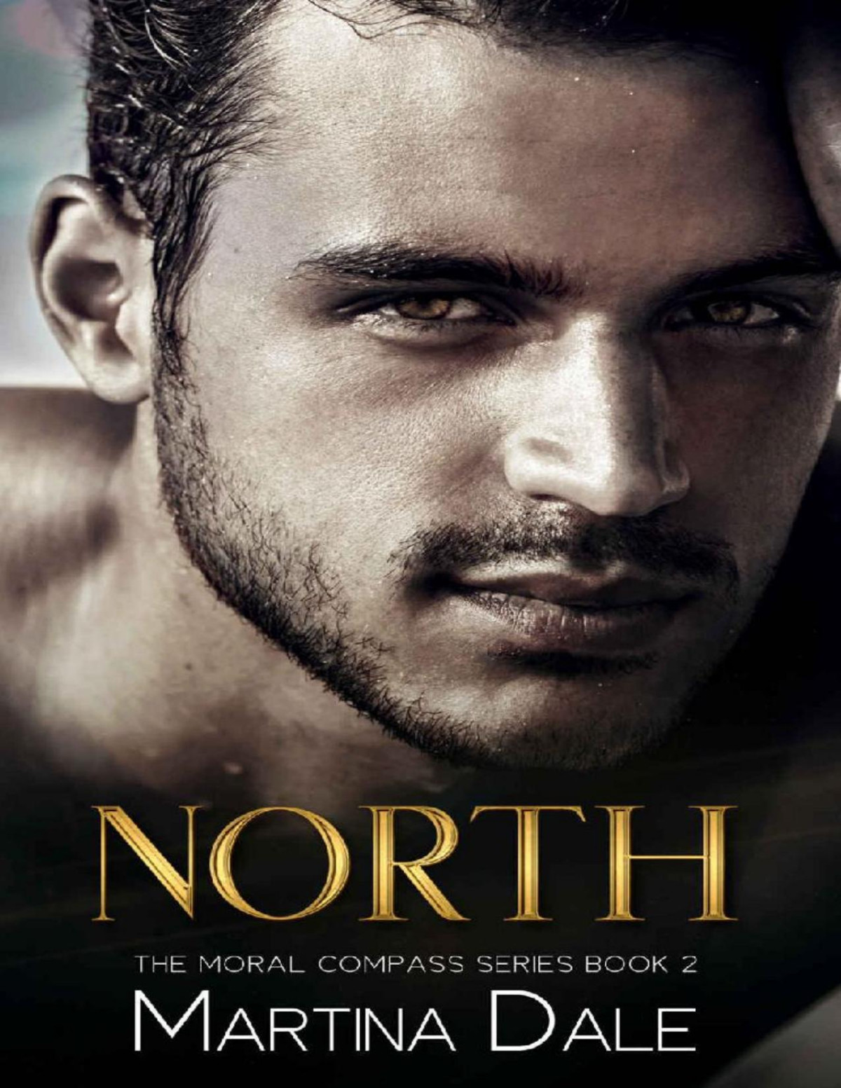 North The Moral Compass Series Book 2 Martina Dale