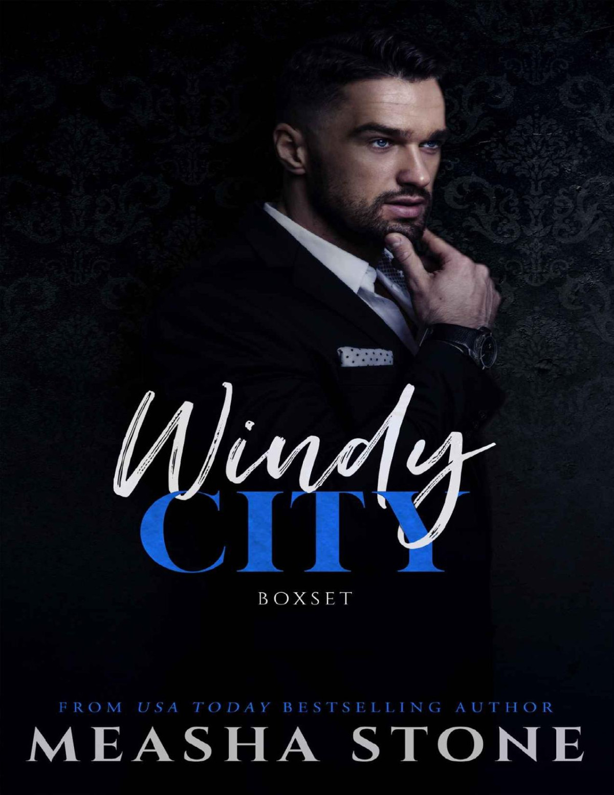 Windy City The Complete Series Stone Measha