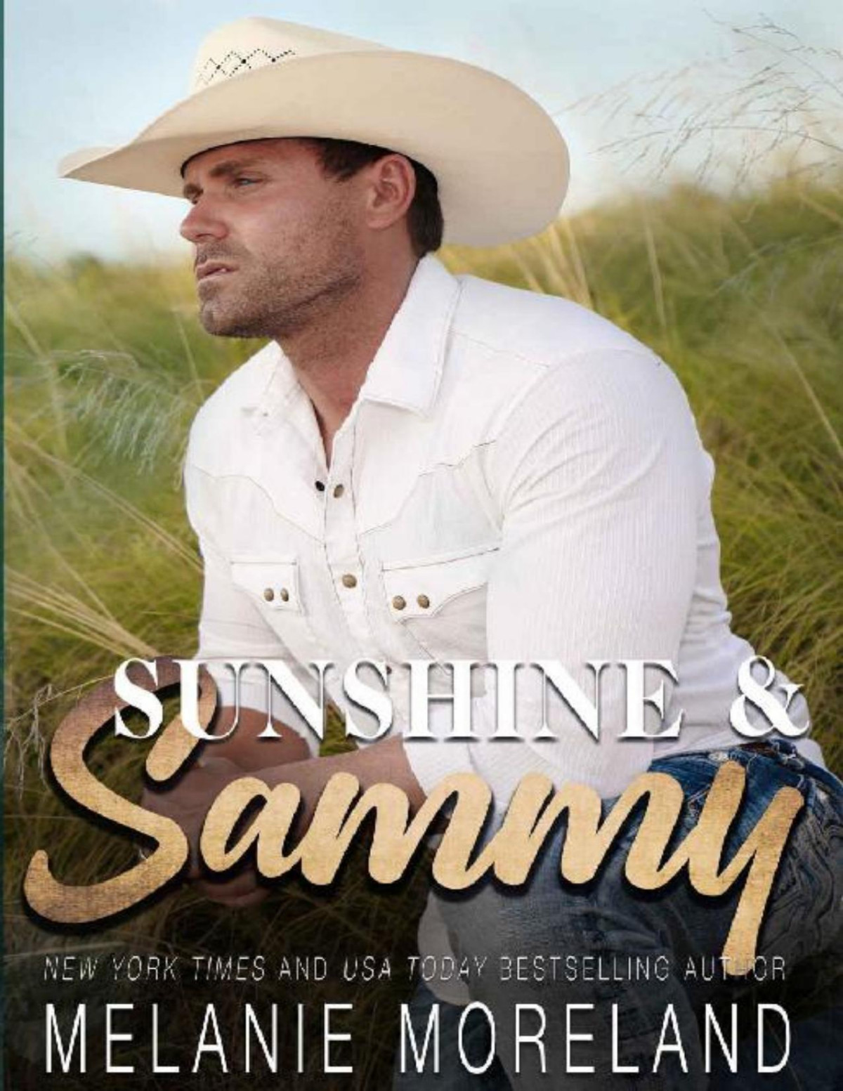 Sunshine And Sammy Vested Interest Abc Corp Book 5 Melanie Moreland