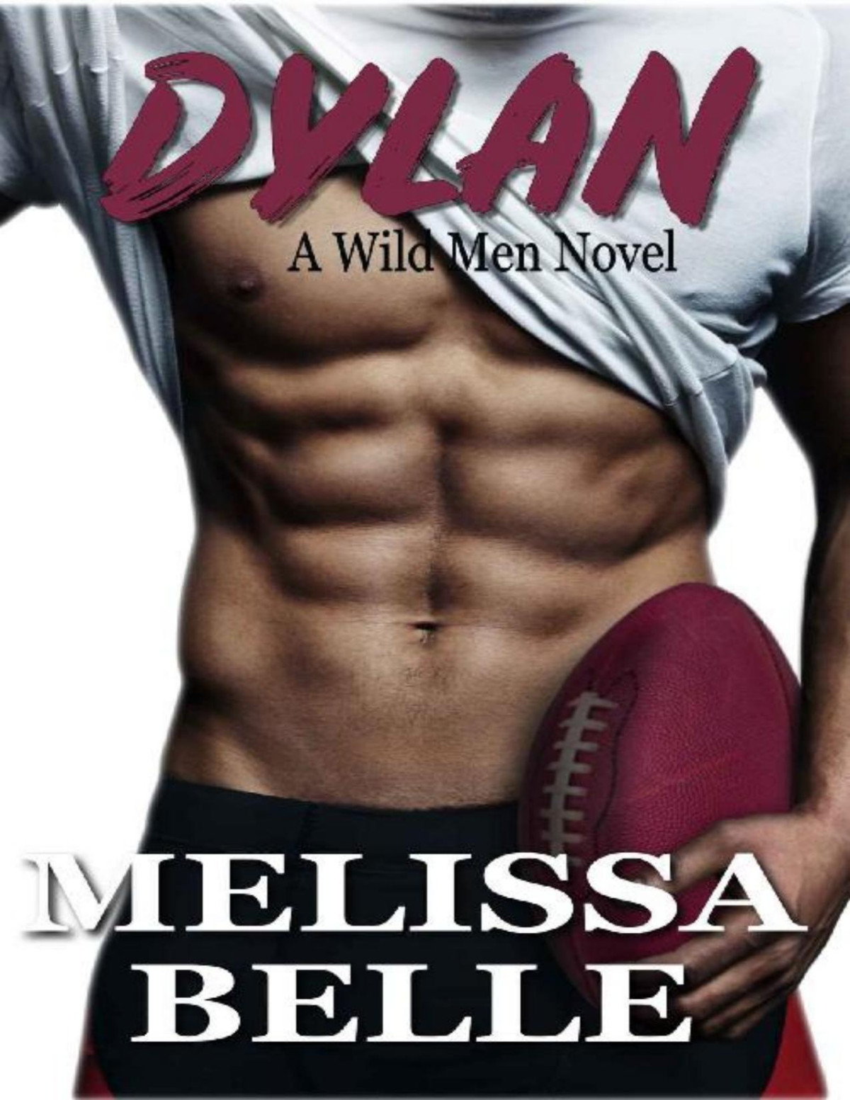 Dylan Wild Men Book 2 Melissa Belle
