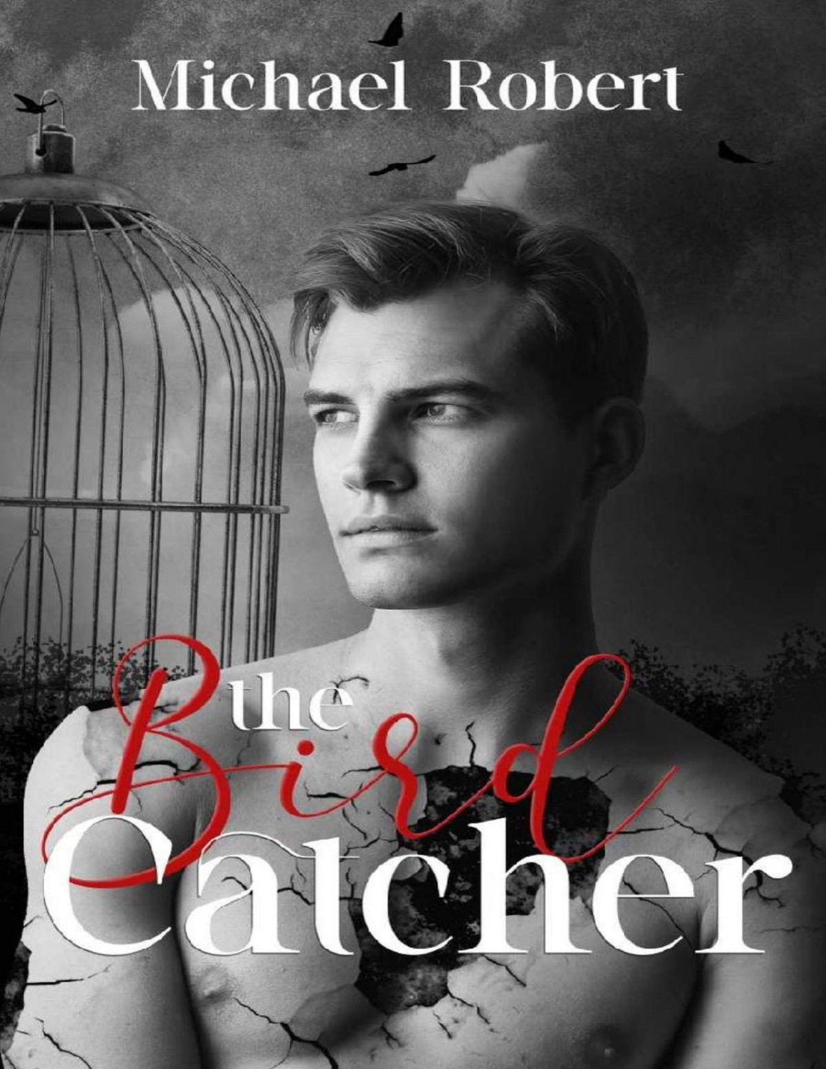 The Bird Catcher Michael Robert