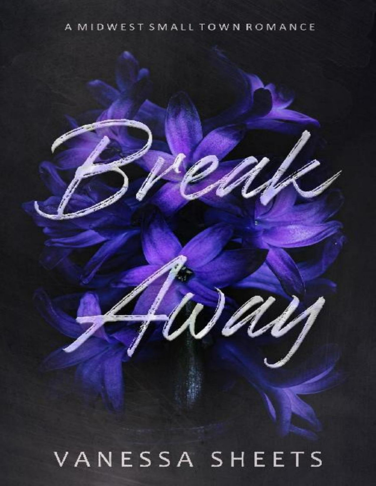Break Away A Midwest Small Town Romance Vanessa Sheets