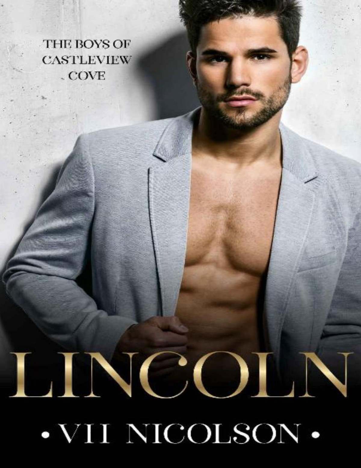 Lincoln The Boys Of Castleview Cove Book 1 Vh Nicolson