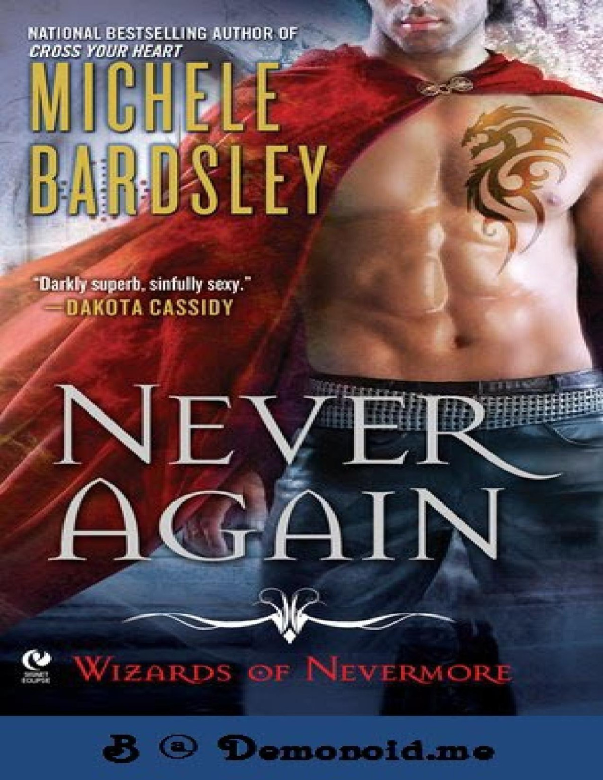 Never Again Michele Bardsley