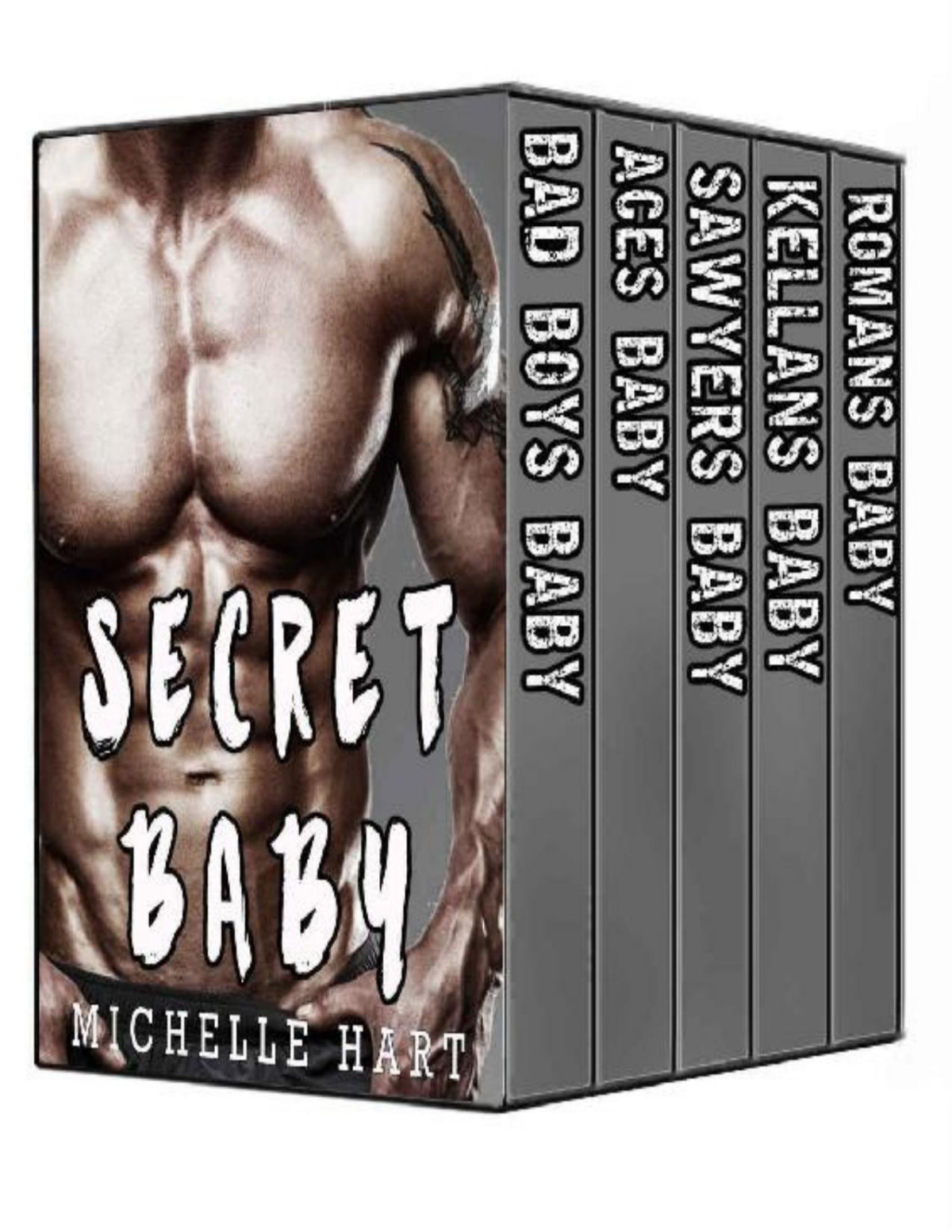 Secret Baby Complete Series Box Set Michelle Hart