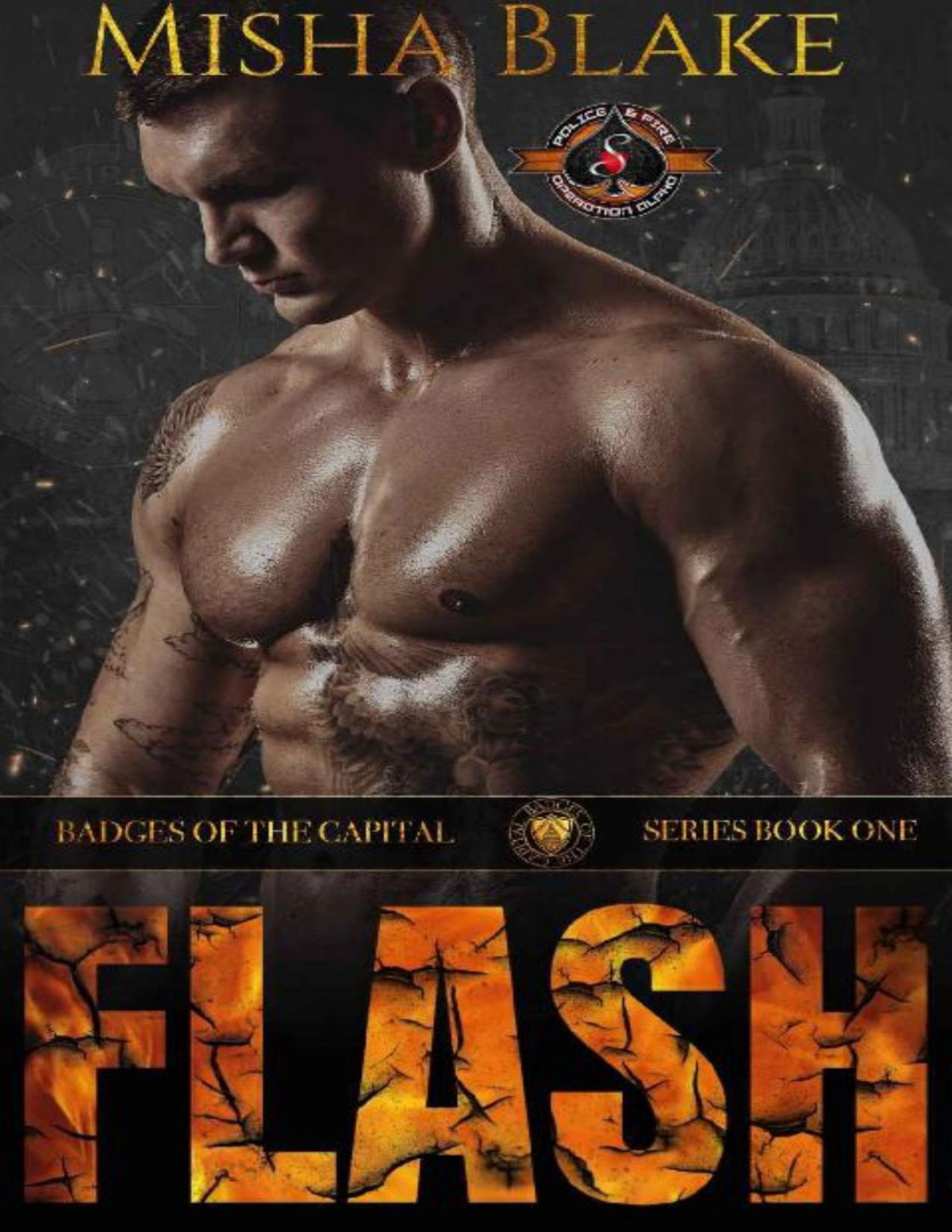 Flash Police And Fire Operation Alpha Badges Of The Capital Book 1 Misha Blake Operaton Alpha