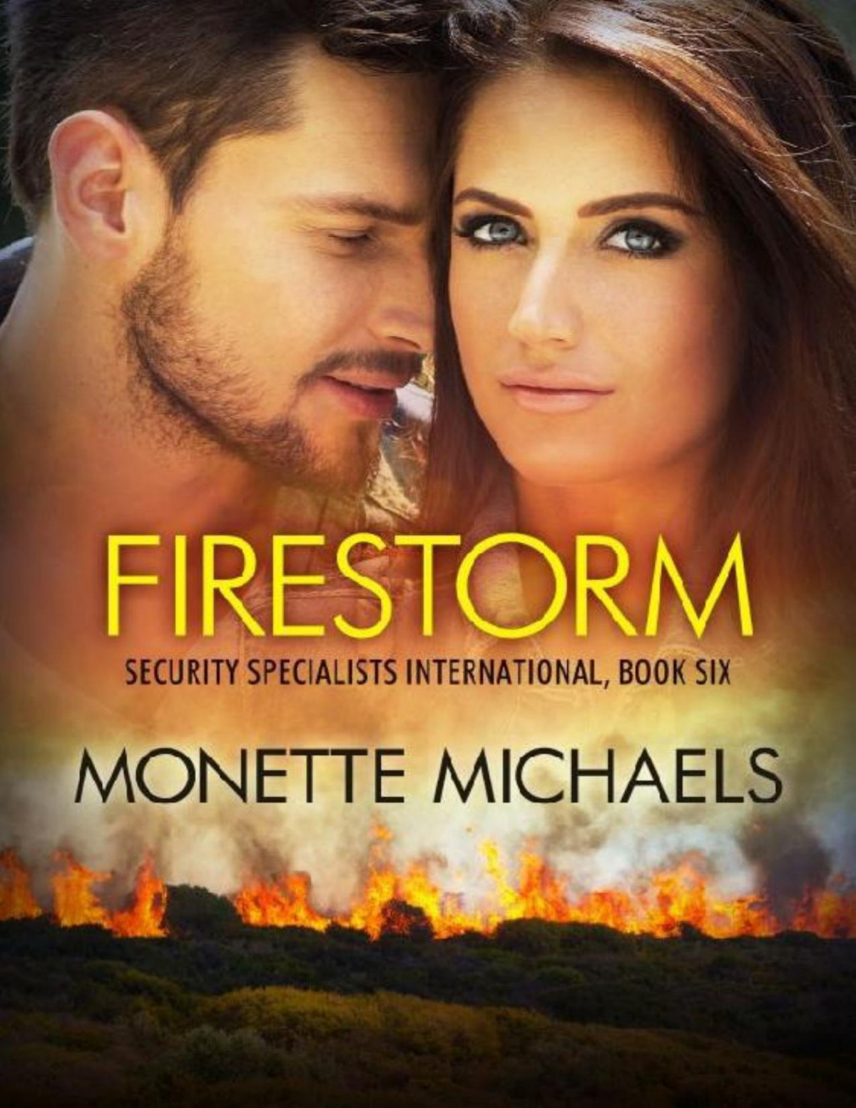 Firestorm Security Specialists International Book 6 Monette Michaels