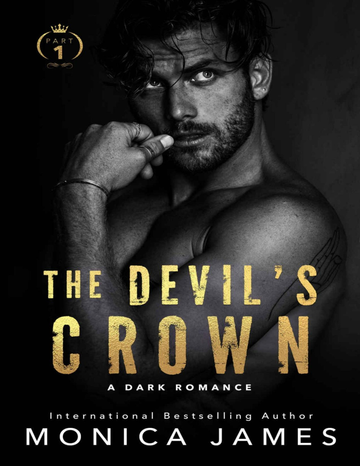 The Devils Crown Monica James