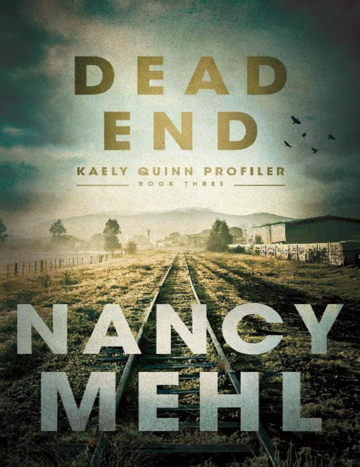 Dead End Nancy Mehl