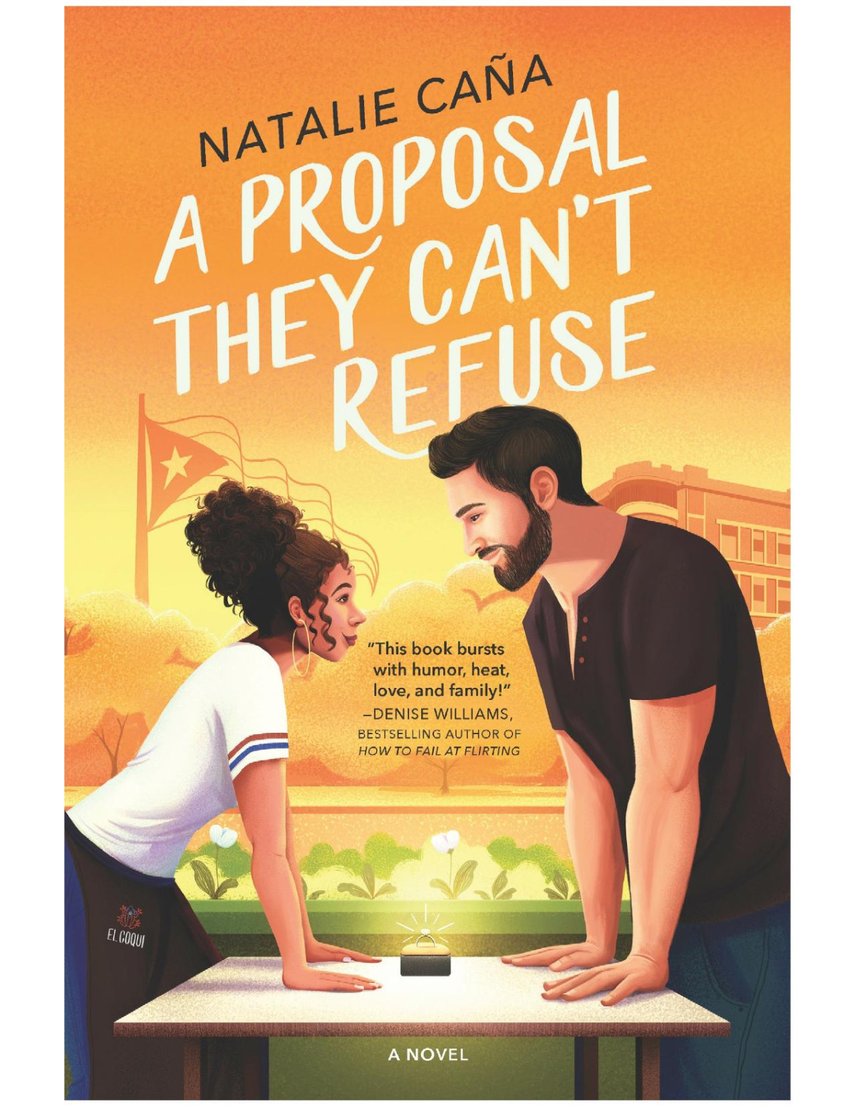 A Proposal They Cant Refusea Romcom Novel Natalie Caa