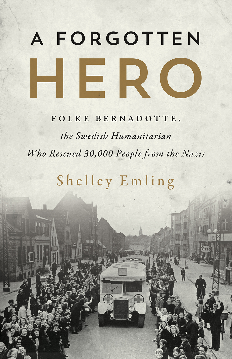 A Forgotten Hero Shelley Emling