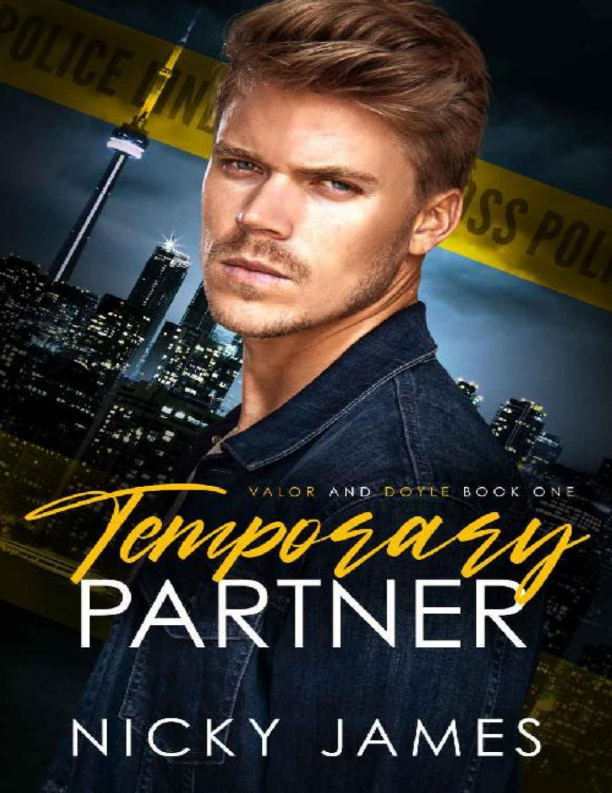 Temporary Partner Valor And Doyle Book 1 Nicky James