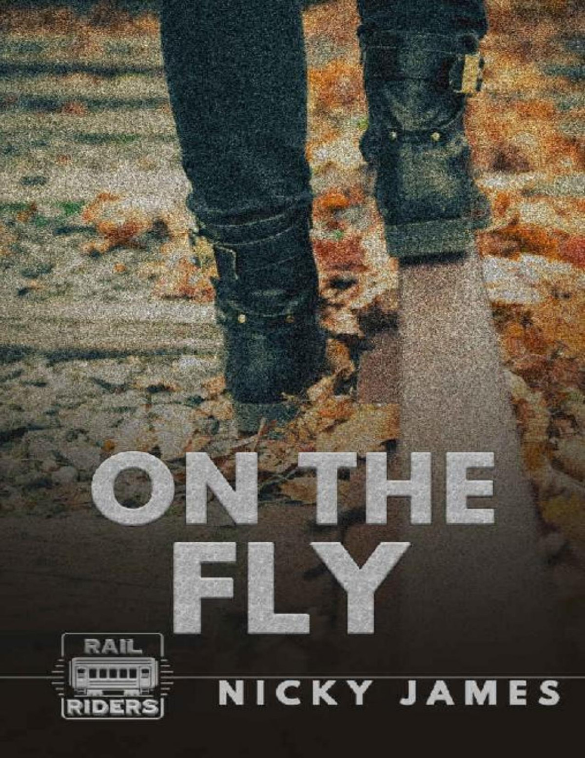 On The Fly Rail Riders Book 4 Nicky James
