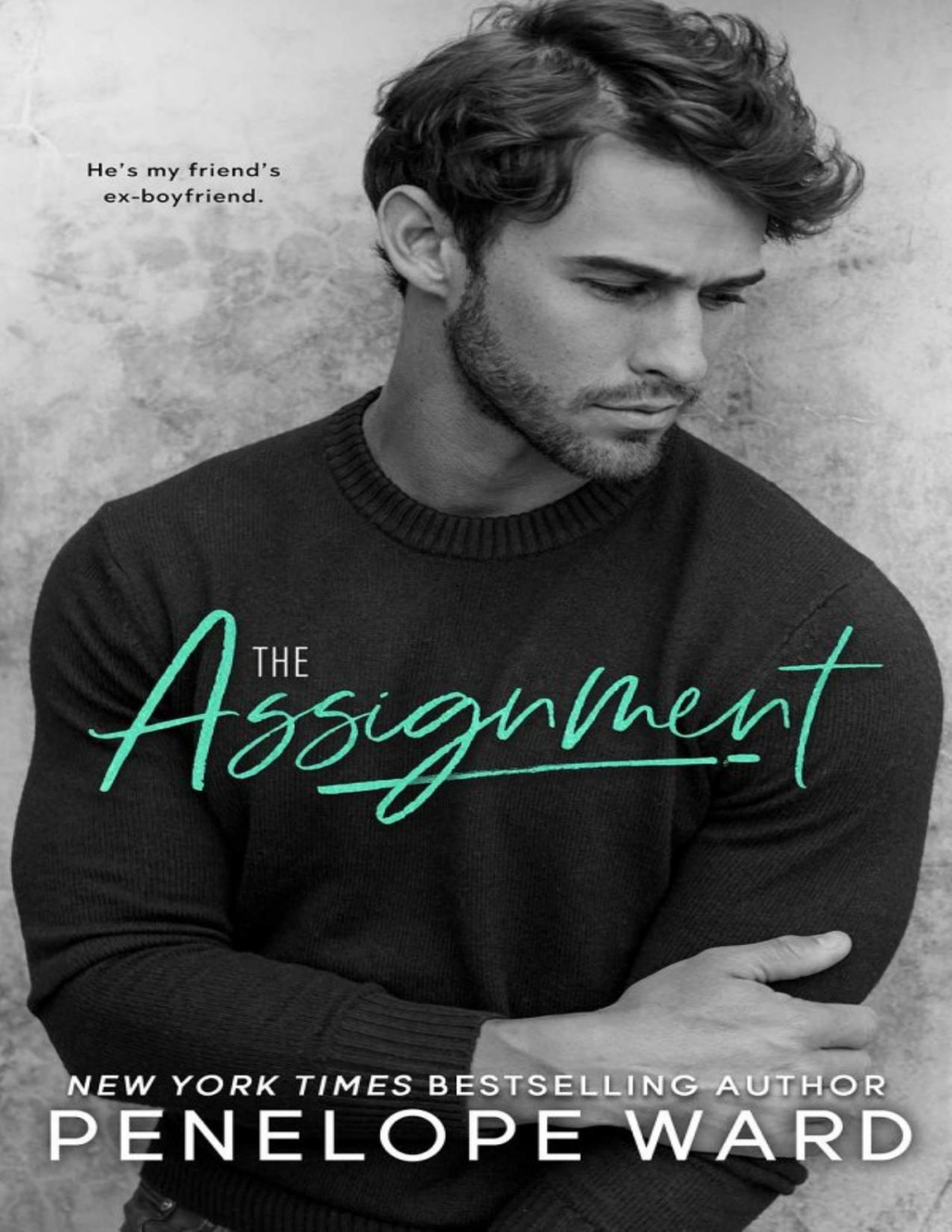 The Assignment Penelope Ward