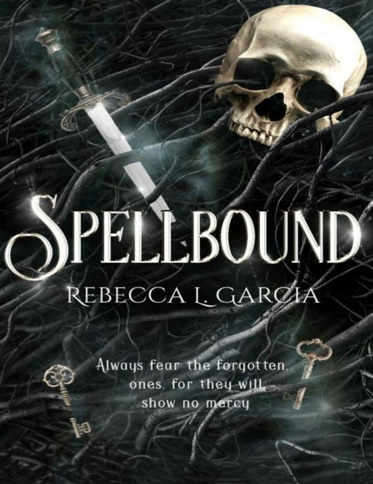 Spellbound Embracing Darkness Collection Rebecca L Garcia