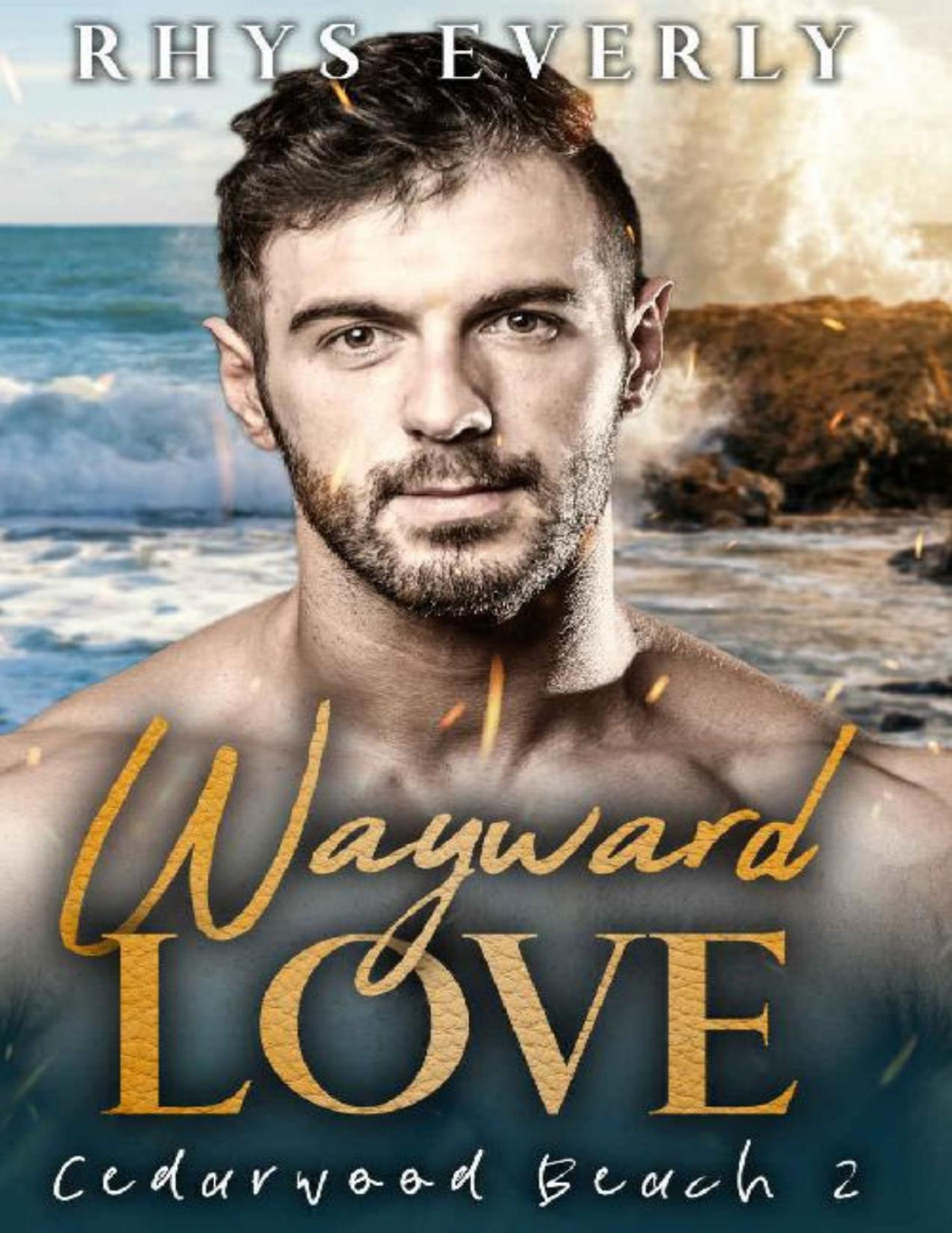 Wayward Love A Grumpysunshine Small Town Romance Cedarwood Beach Book 2 Rhys Everly
