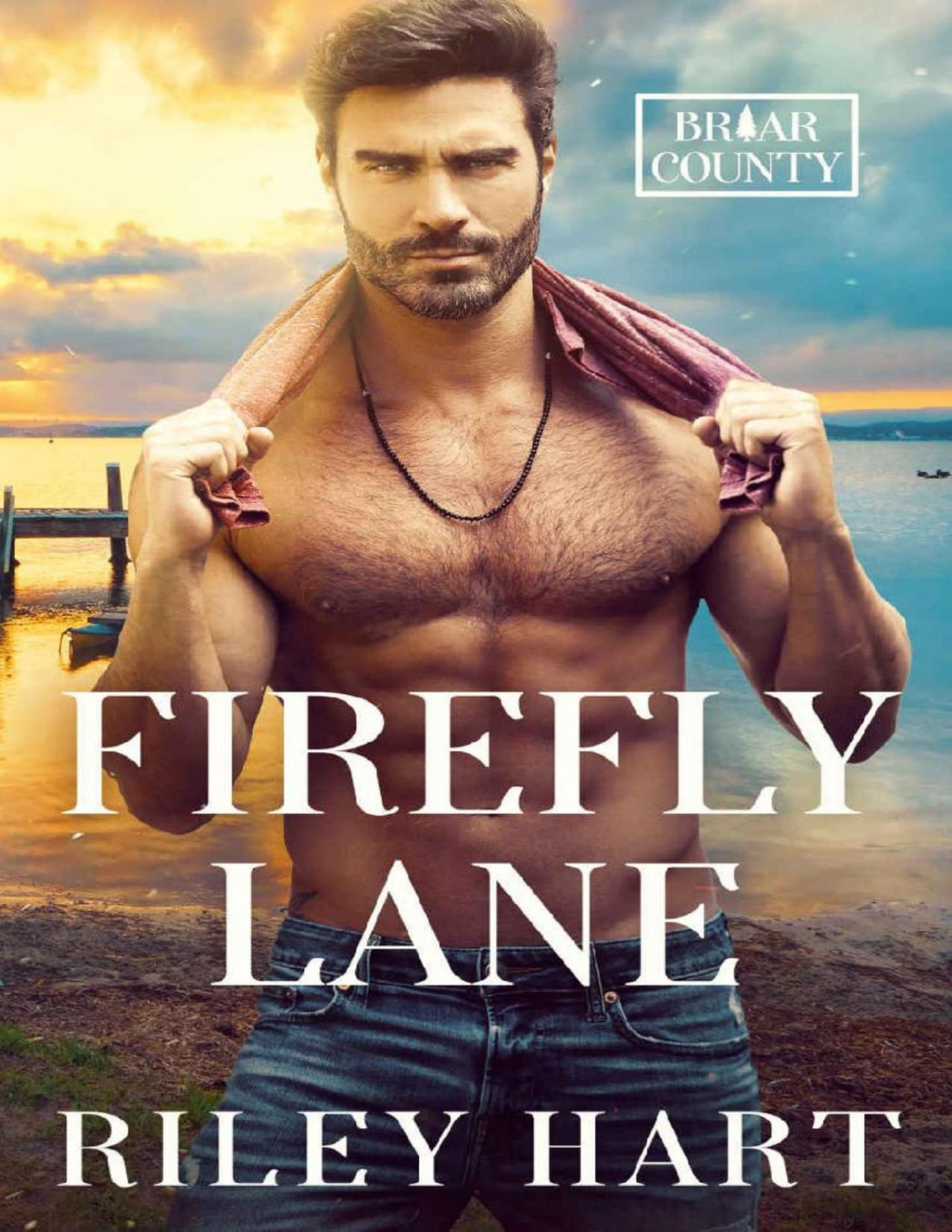 Firefly Lane A Small Town Friends To Lovers Mm Romance Briar County Book 1 Riley Hart