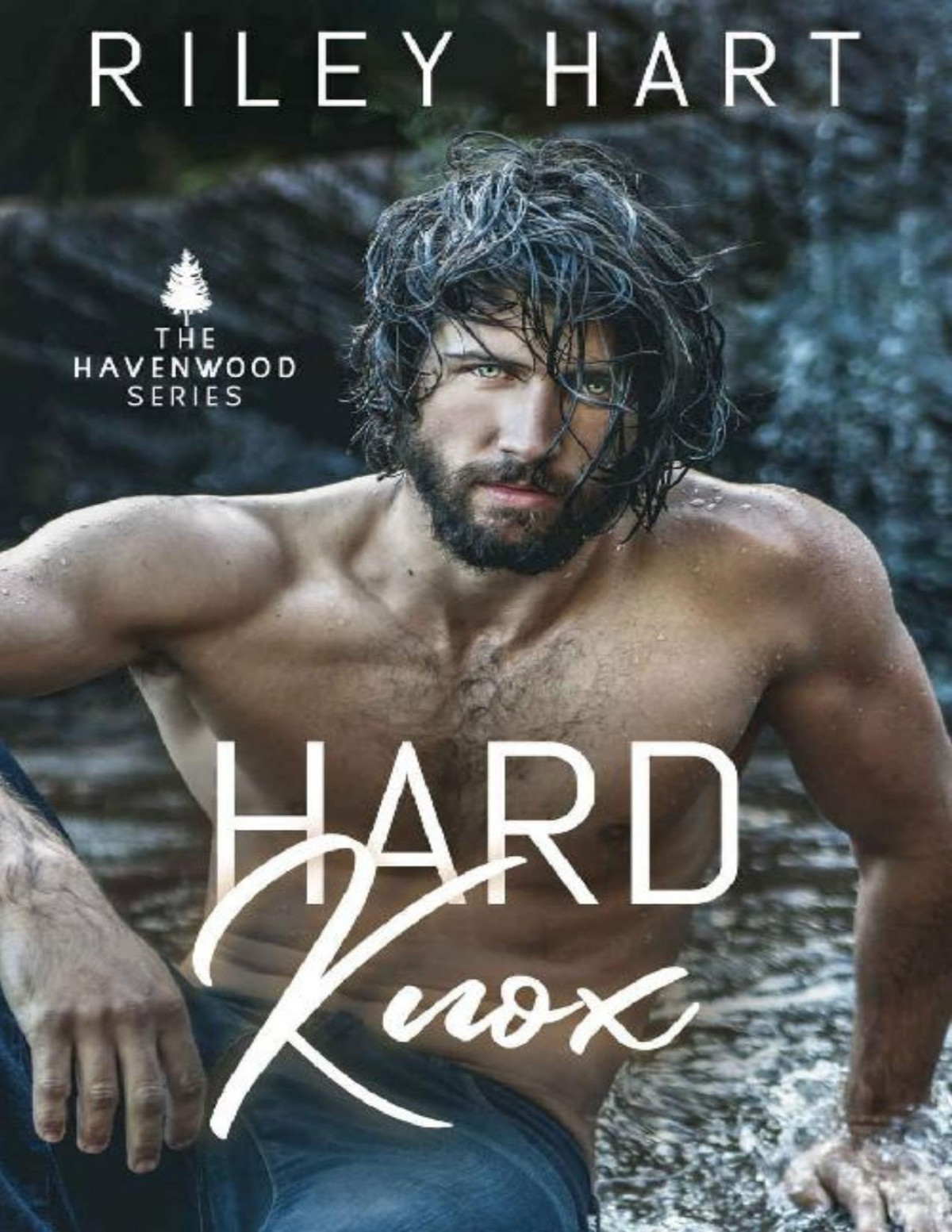 Hard Knox Havenwood Book 3 Riley Hart