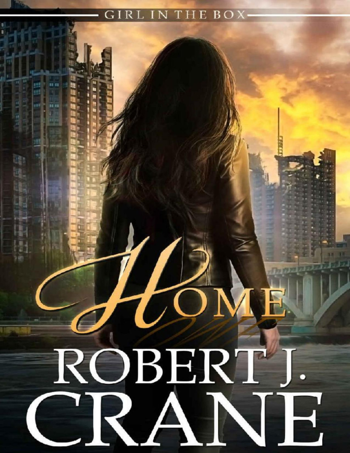 Home The Girl In The Box Book 48 Robert J Crane