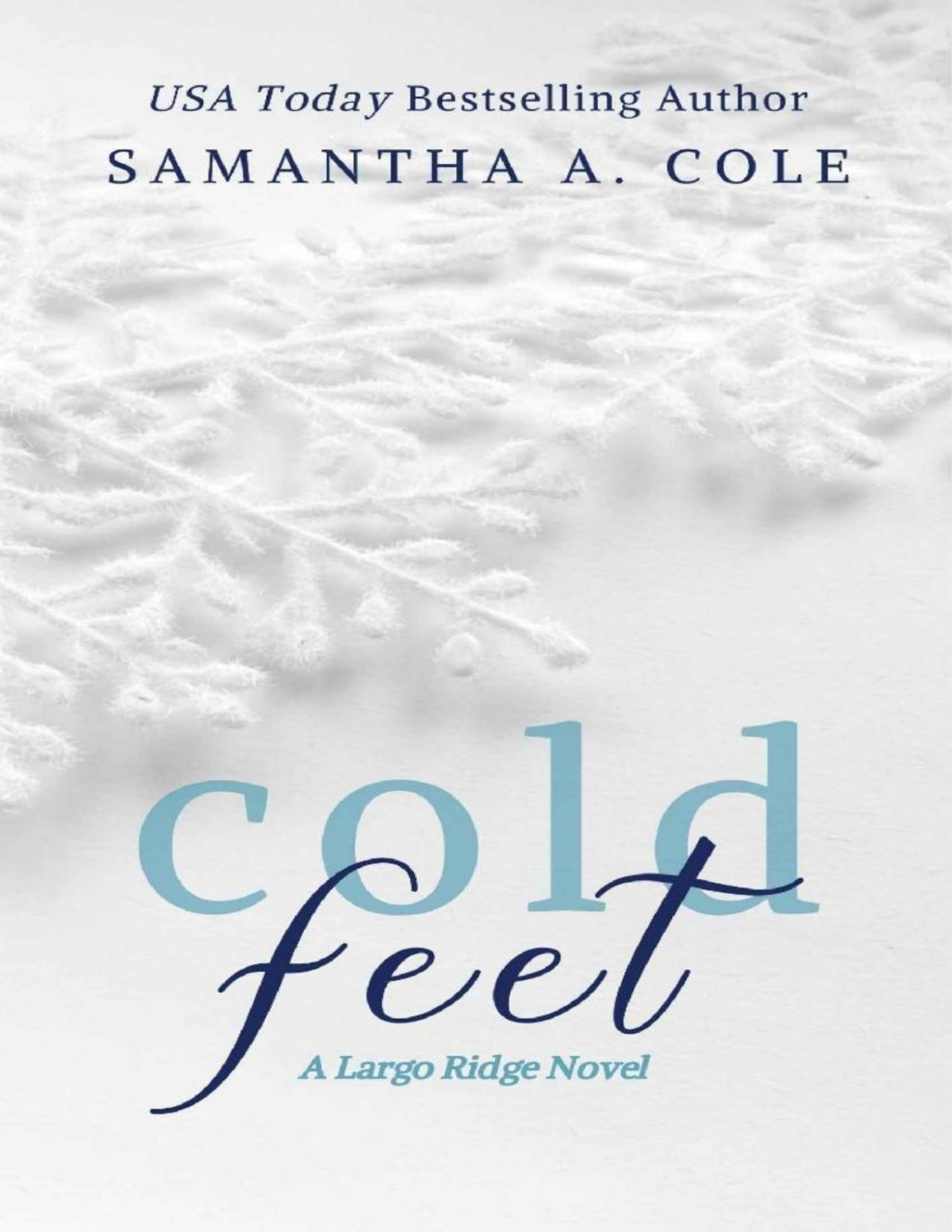 Cold Feet Largo Ridge Book 1 Samantha A Cole