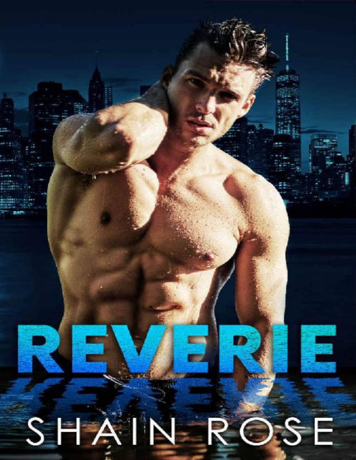 Reverie An Enemiestolovers Standalone Romance Shain Rose