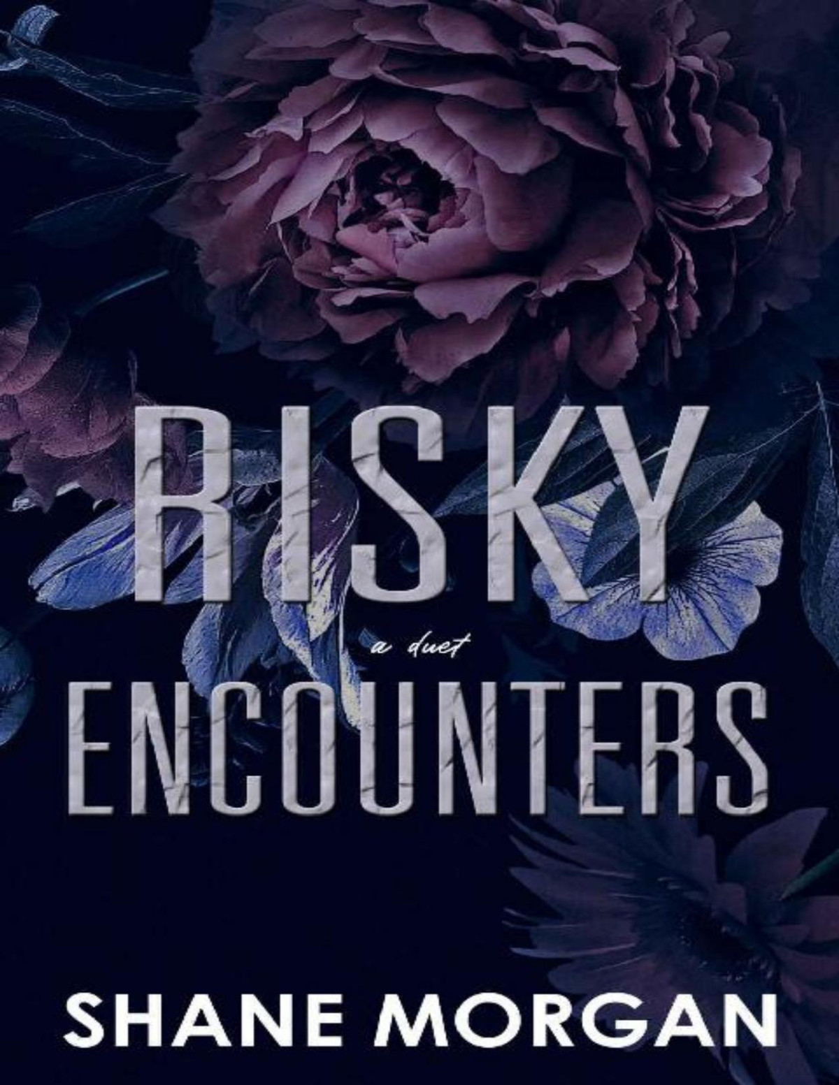 Risky Encounters Risks Betrayals Duet Book 1 Shane Morgan