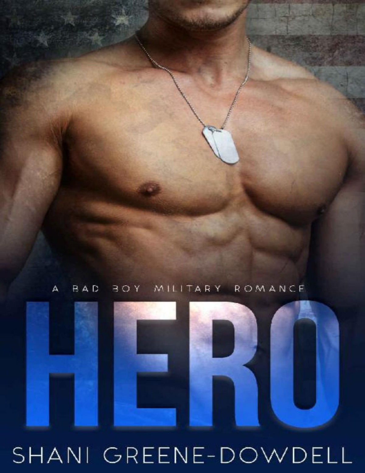 Hero A Bad Boy Military Romance Shani Greenedowdell