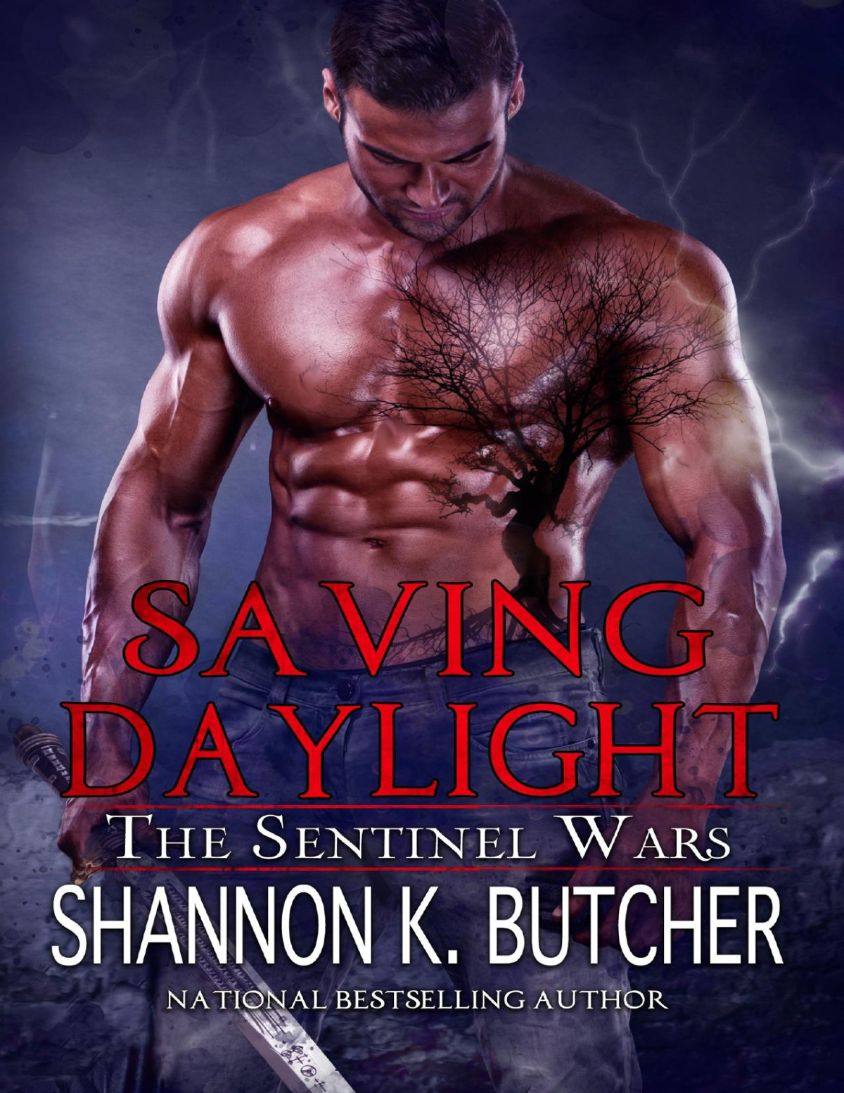 Saving Daylight Shannon K Butcher