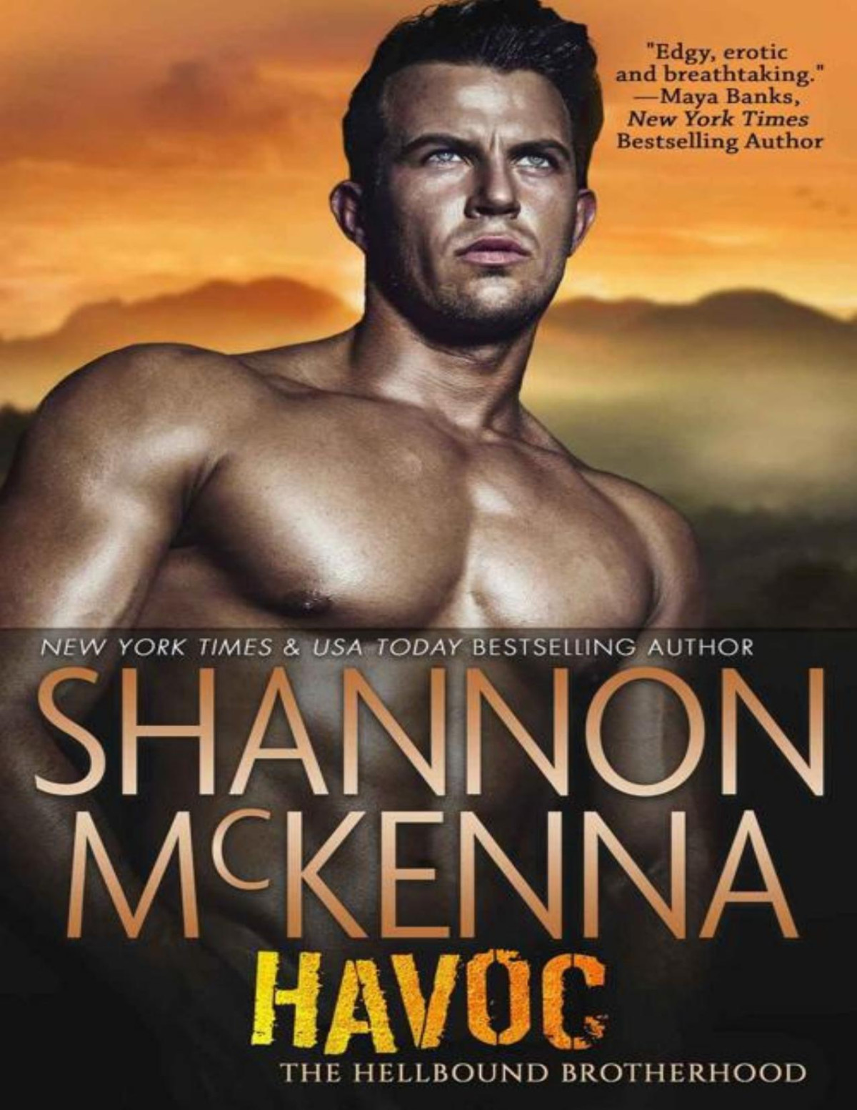Havoc The Hellbound Brotherhood Book 5 Shannon Mckenna