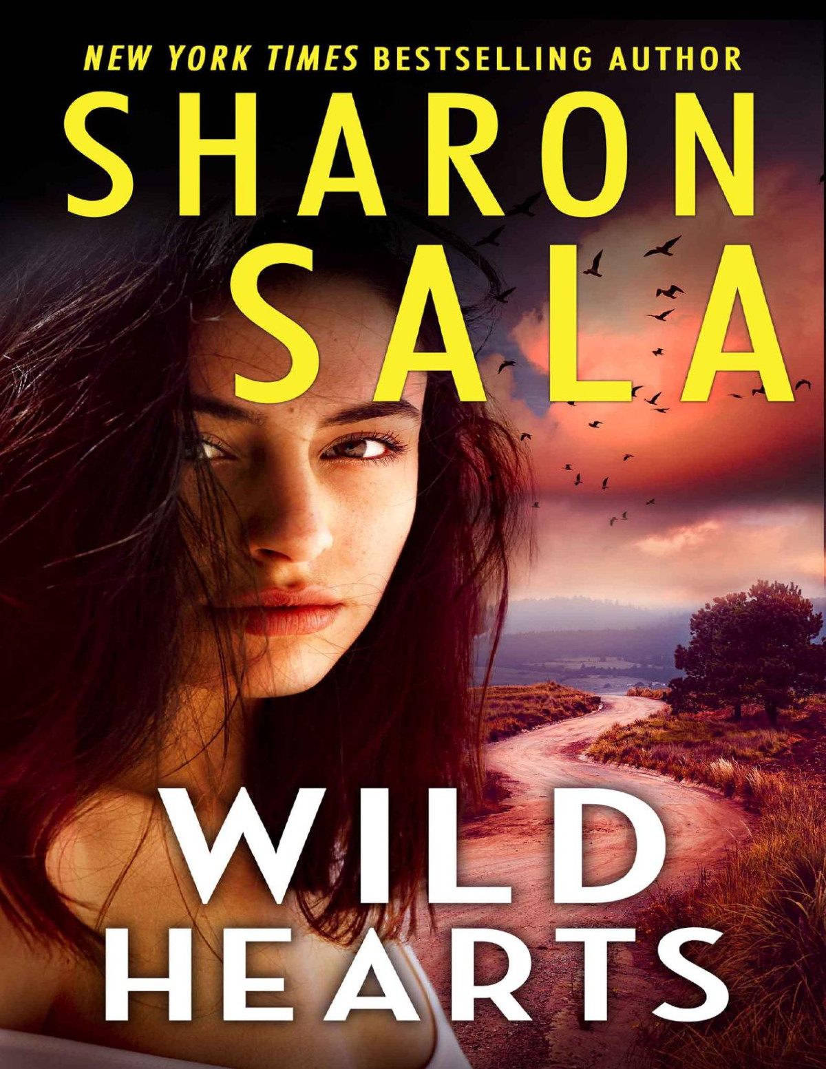 Wild Hearts Sharon Sala