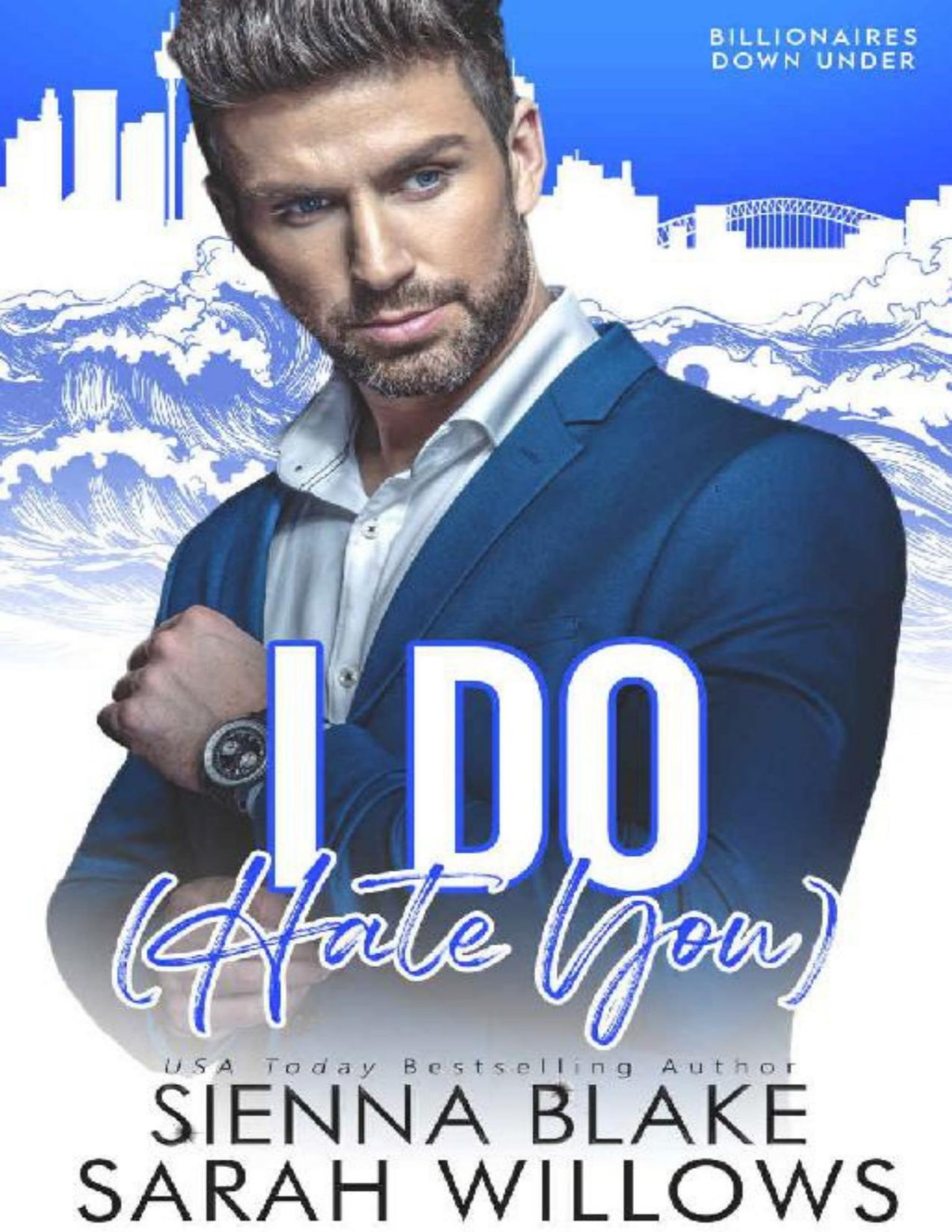 I Do Hate You An Enemiestolovers Romantic Comedy Billionaires Down Under Sienna Blake Sarah Willows