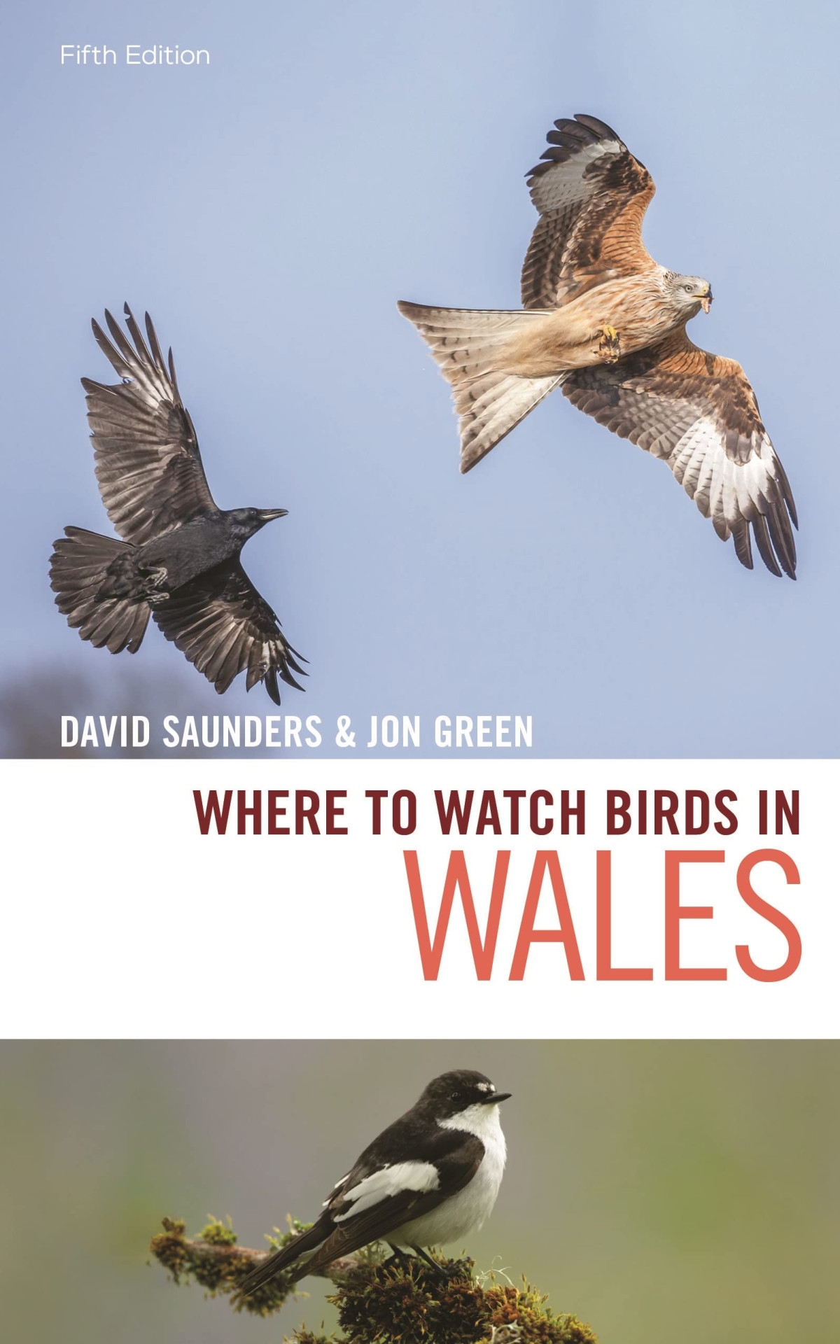 Where To Watch Birds In Wales 5th Edition David Saunders Jon Green