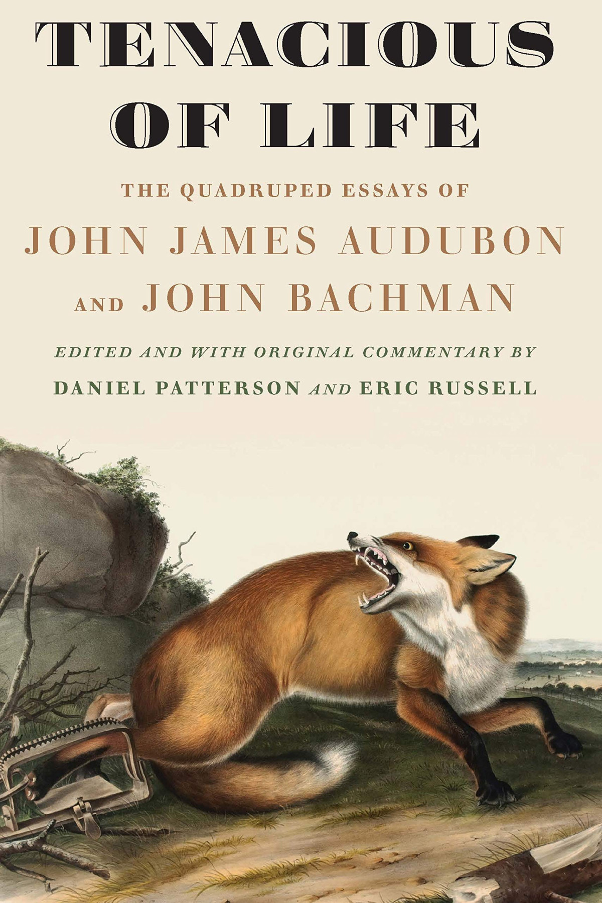 Tenacious Of Life The Quadruped Essays Of John James Audubon And John Bachman John James Audubon