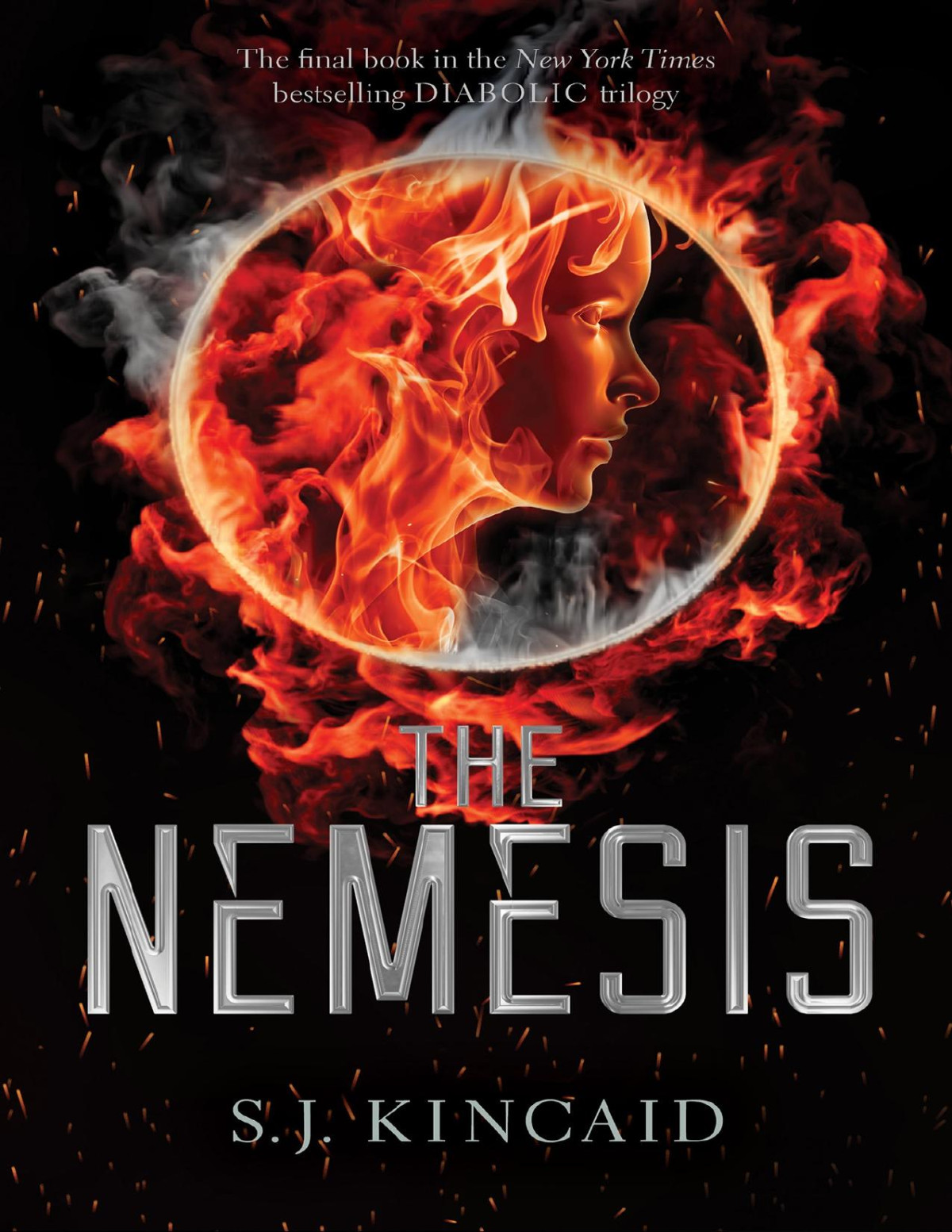 The Nemesis S J Kincaid