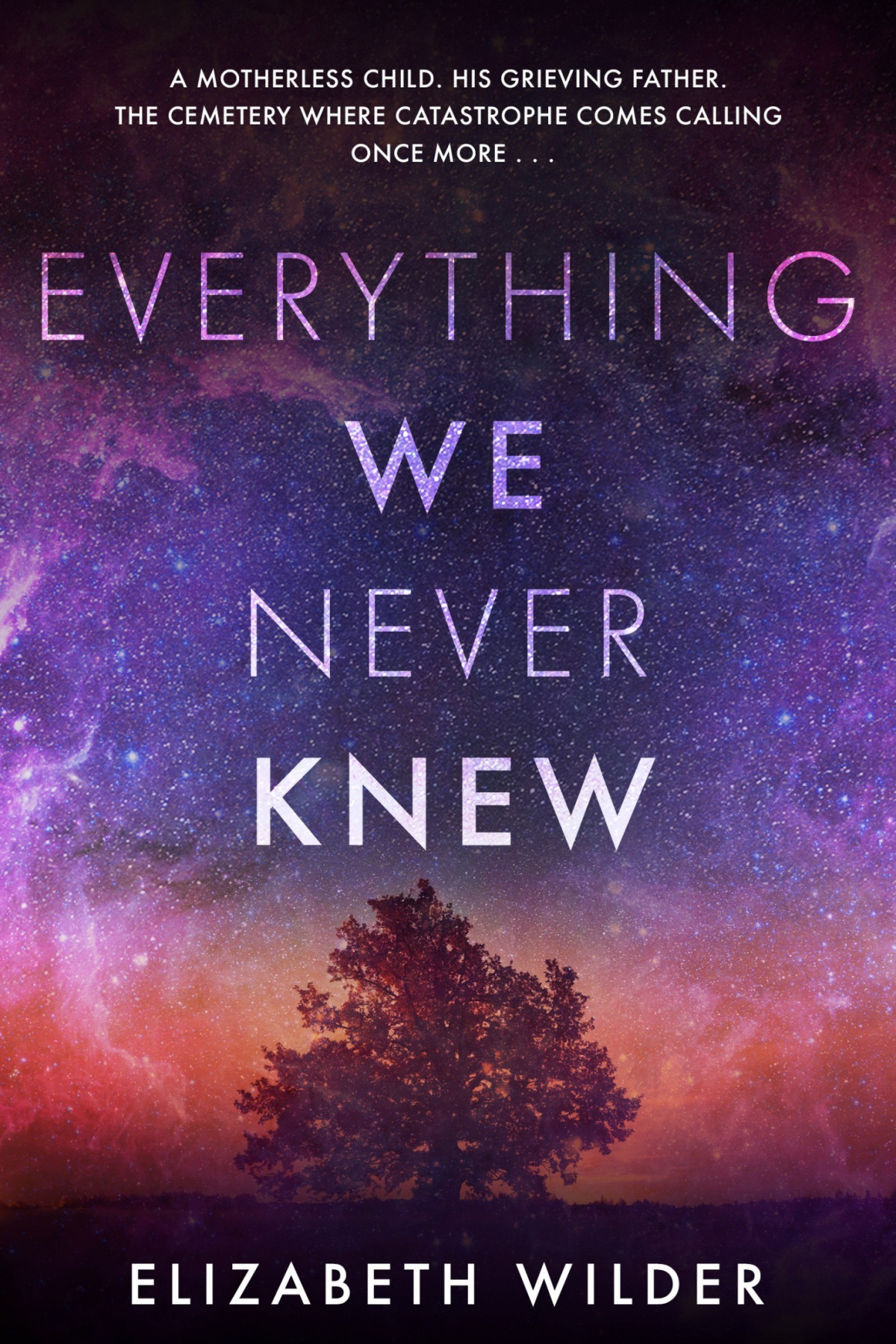 Everything We Never Knew Elizabeth Wilder