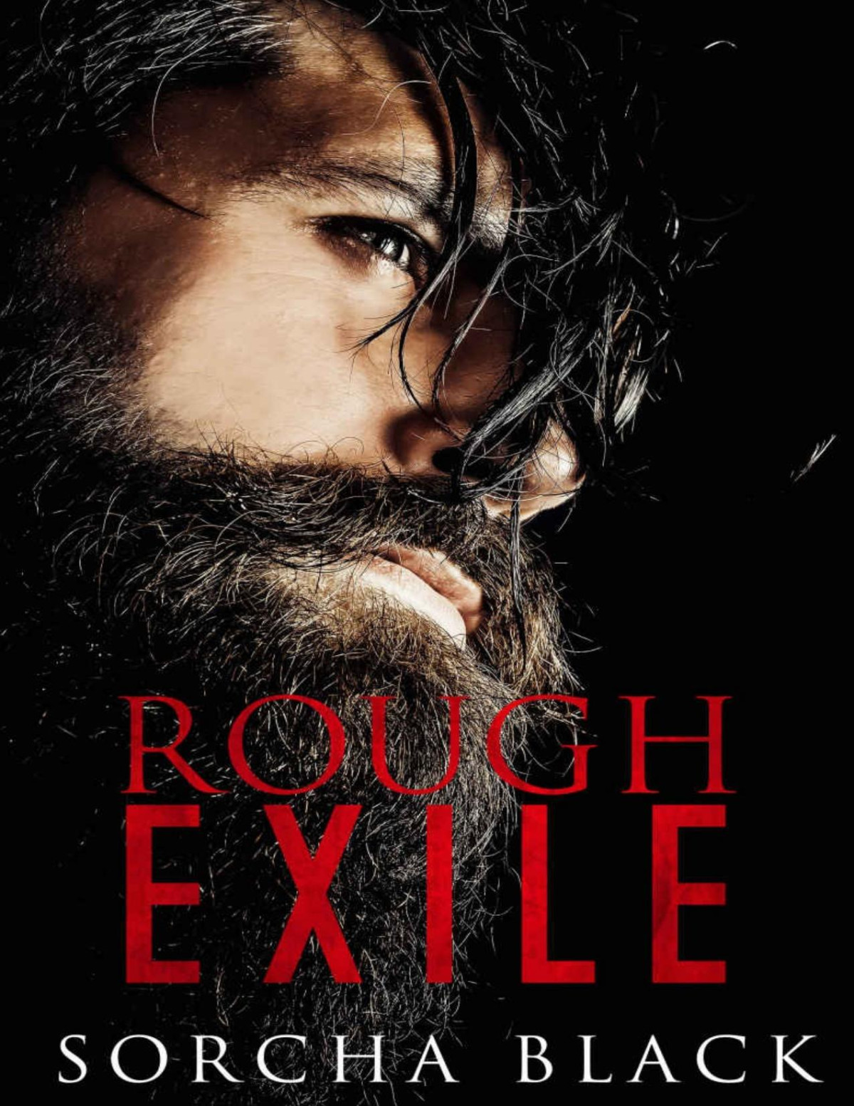 Rough Exile An Mmf Bisexual Rough Romance Chase Islands Sorcha Black
