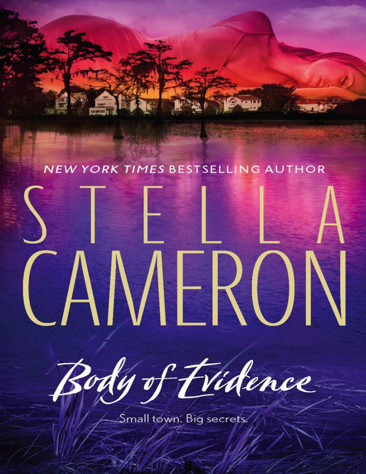 Body Of Evidence Stella Cameron