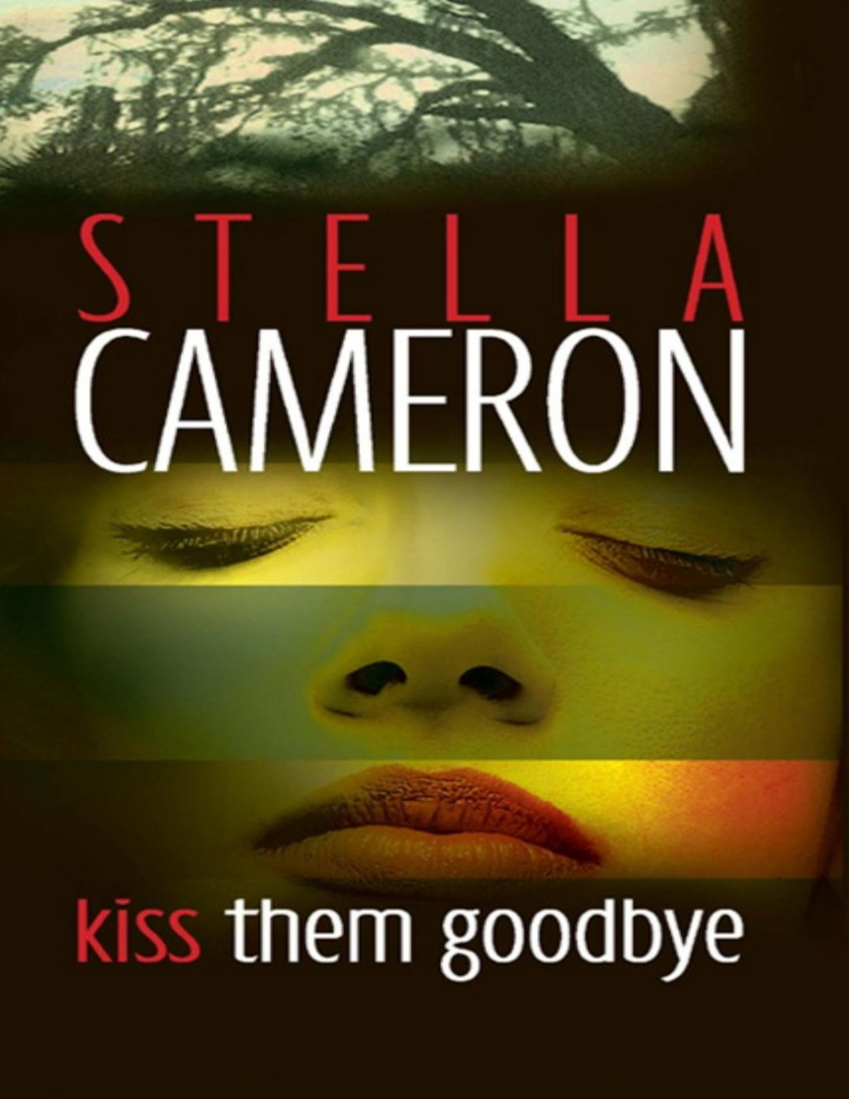 Kiss Them Goodbye Stella Cameron