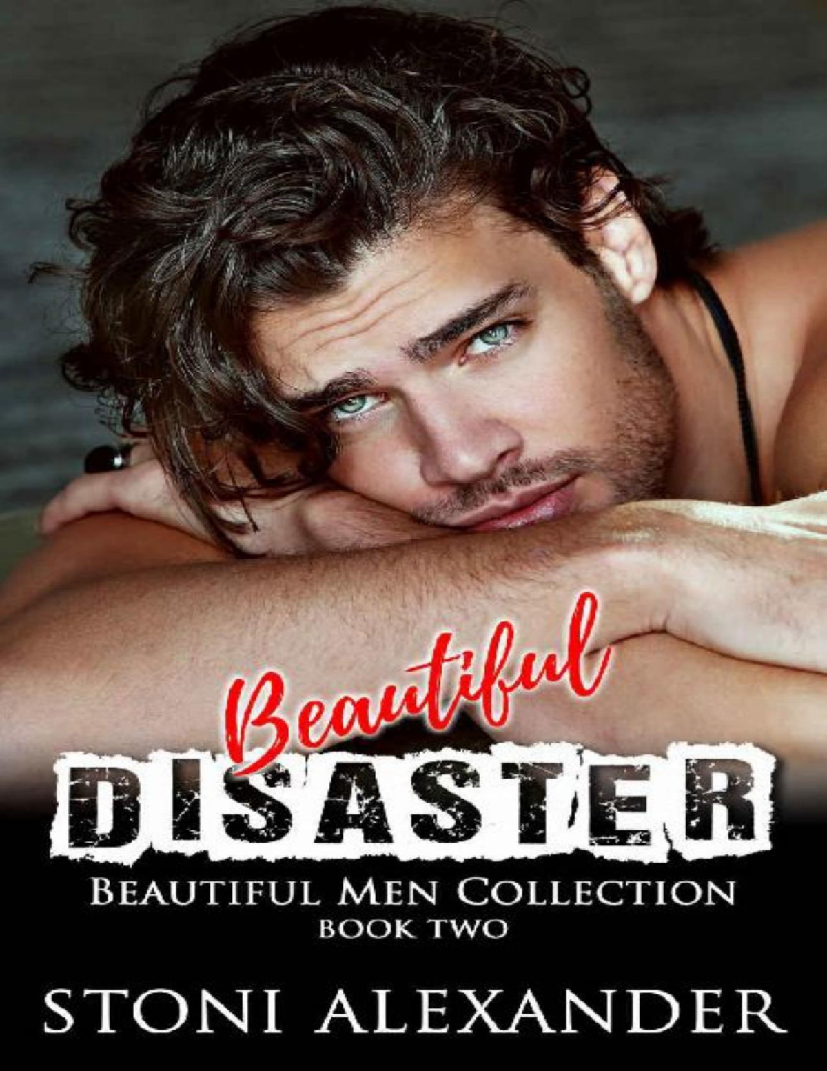 Beautiful Disaster Beautiful Men Collection Book Two Stoni Alexander
