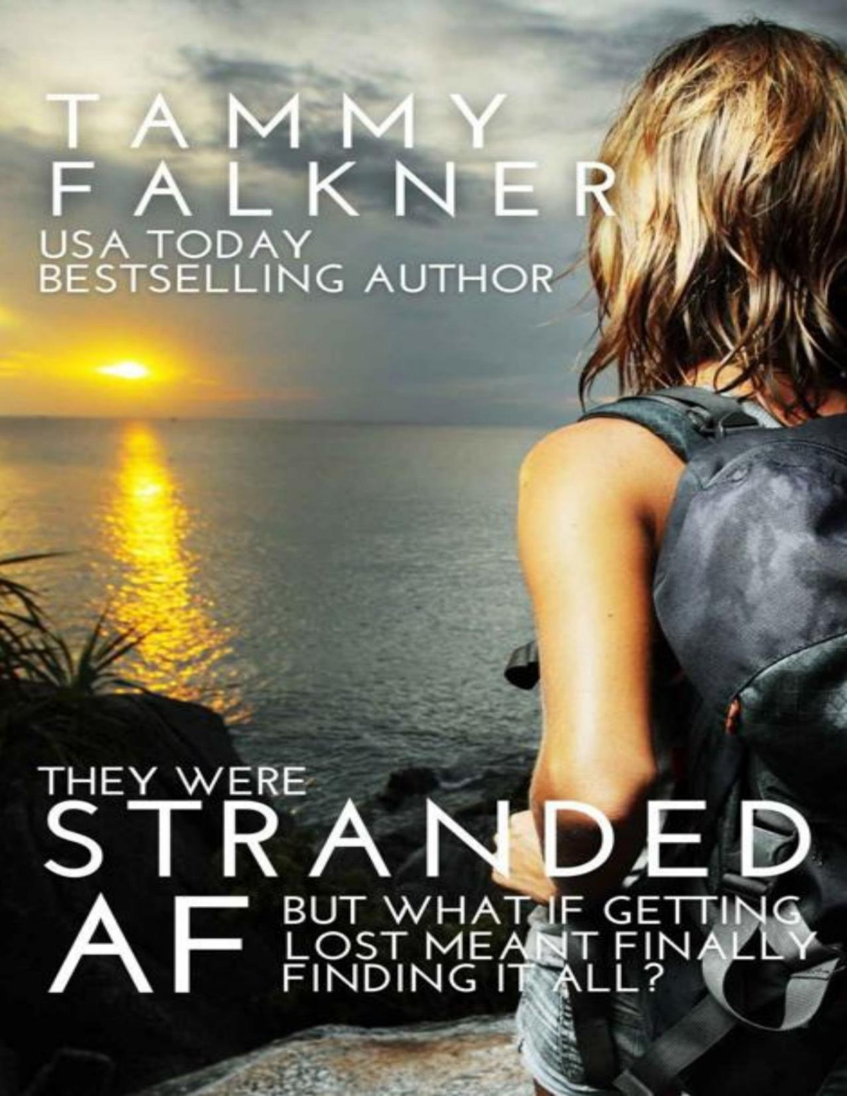 Stranded Af The Af Series Book 1 Tammy Falkner