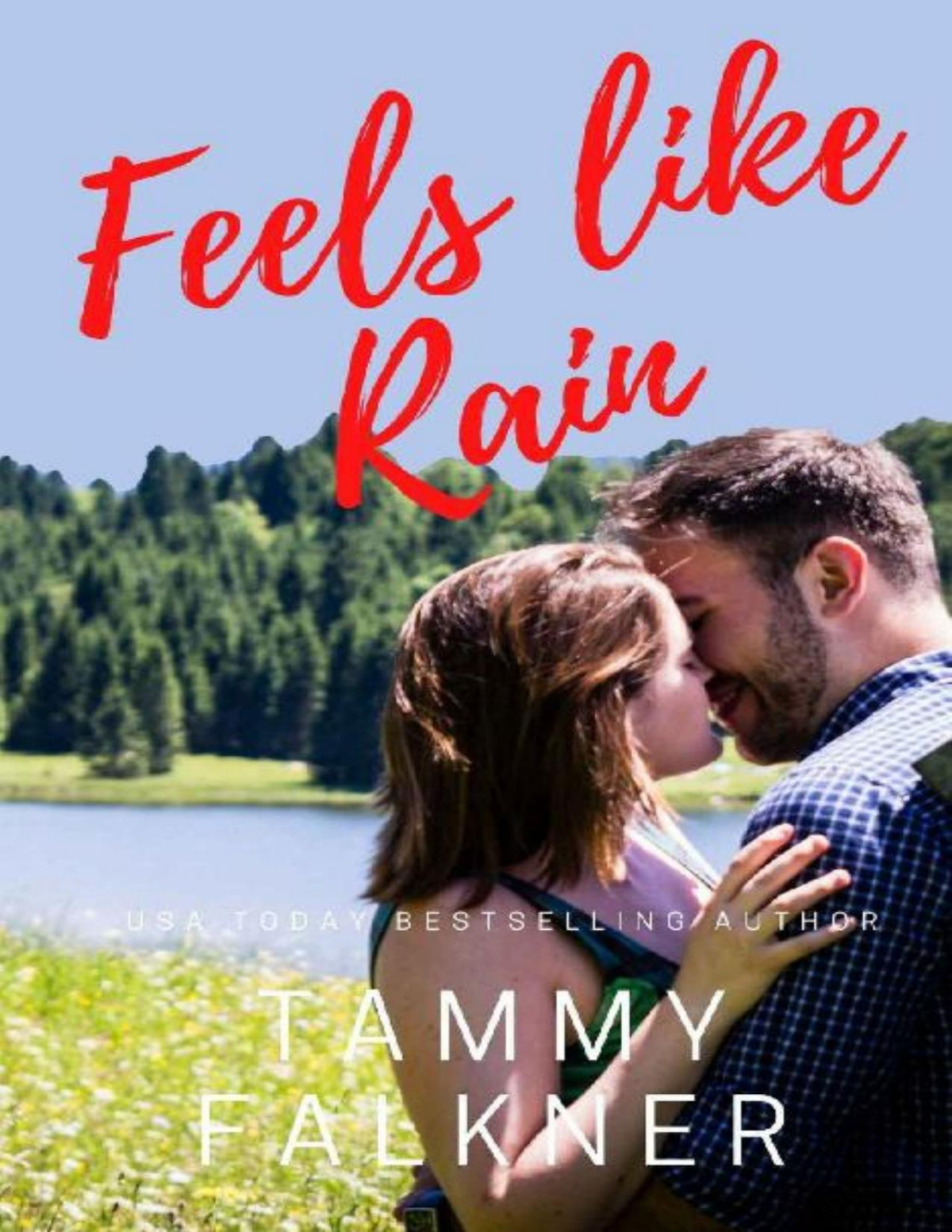 Feels Like Rain Lake Fisher Book 3 Tammy Falkner