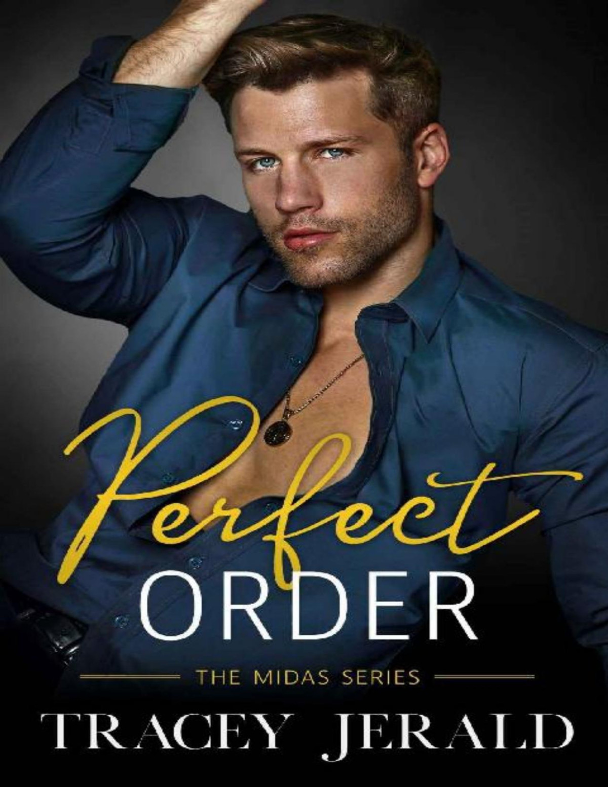 Perfect Order A Billionaire Stealth Romance Midas Series Book 4 Tracey Jerald