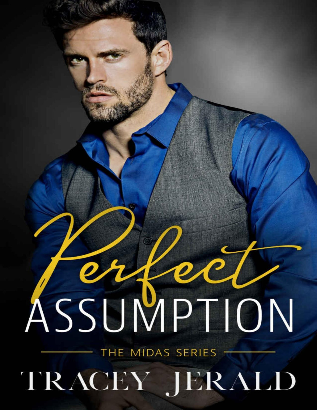 Perfect Assumption A Midas Series Standalone Novel Jerald Tracey