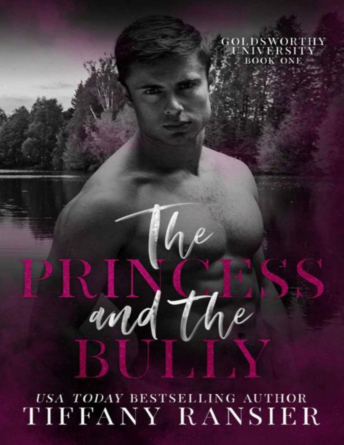 The Princess And The Bully Goldsworthy University Book 1 Tiffany Ransier