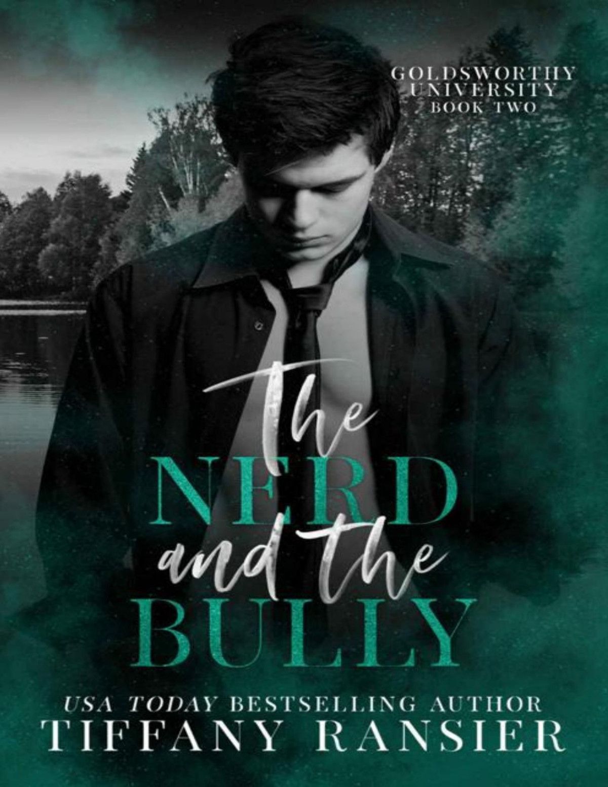 The Nerd And The Bully Goldsworthy University Book 2 Tiffany Ransier